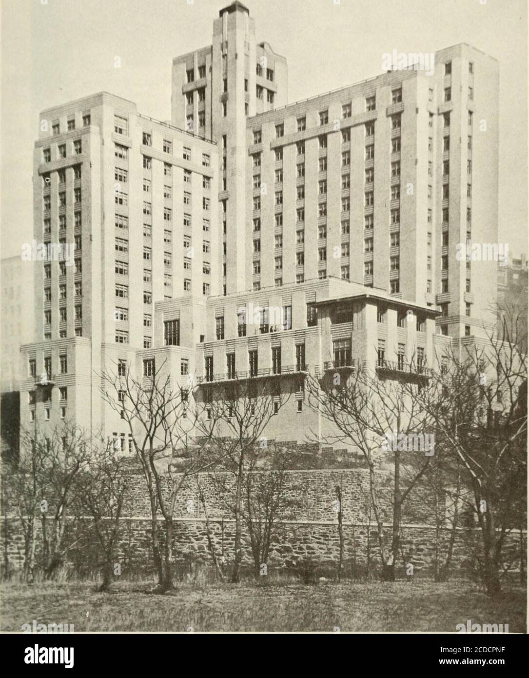 Columbia University Bulletins Of Information Announcement Linical Surgery John E Scarff Professor Emeritus Of Clinical Neurological Surgery Beatrice C Seegal Professor Emeritus Of Microbiology David Seegal Professor Emeritus Of