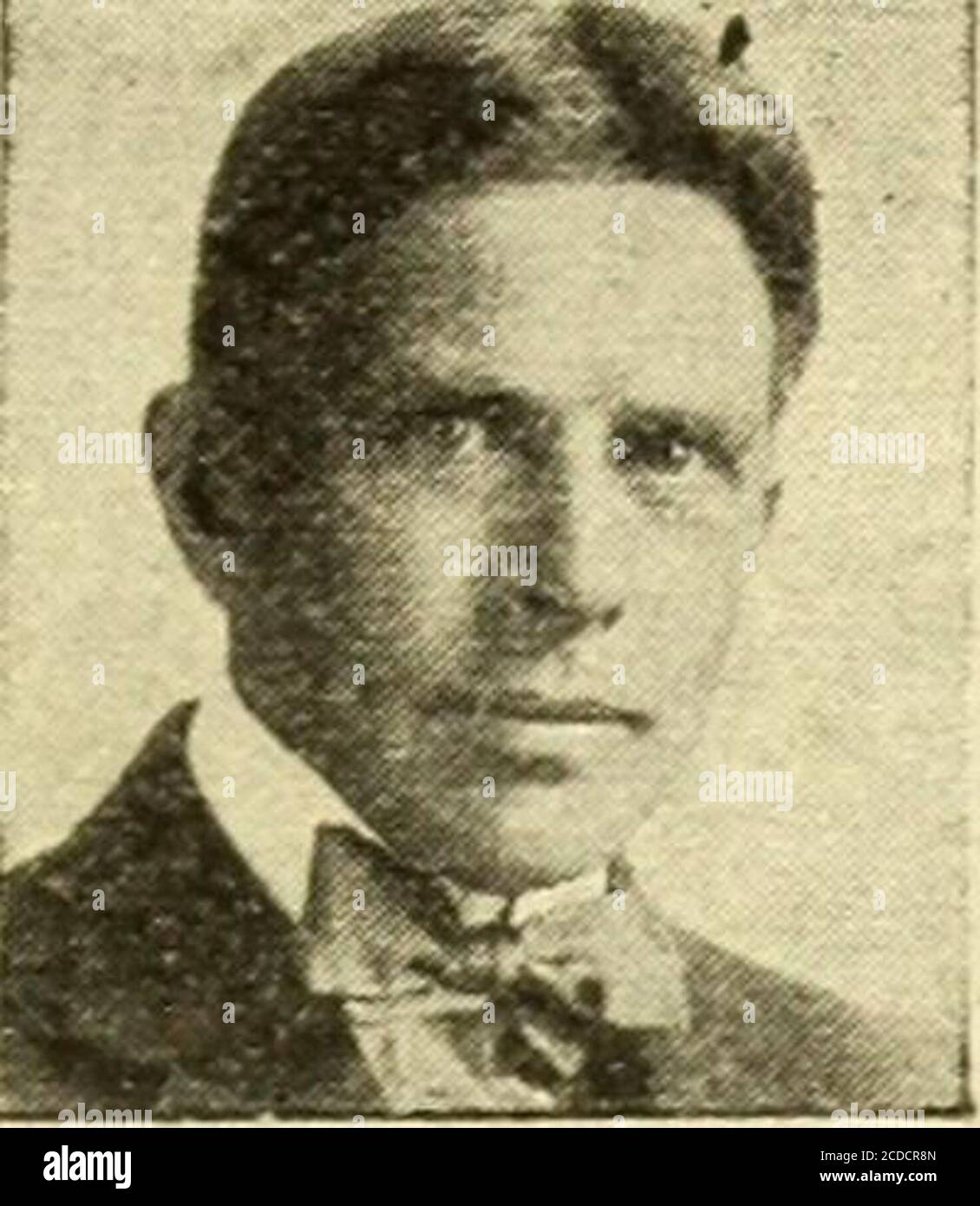 . Lilly's complete annual catalog seeds fertilizers stock foods bee