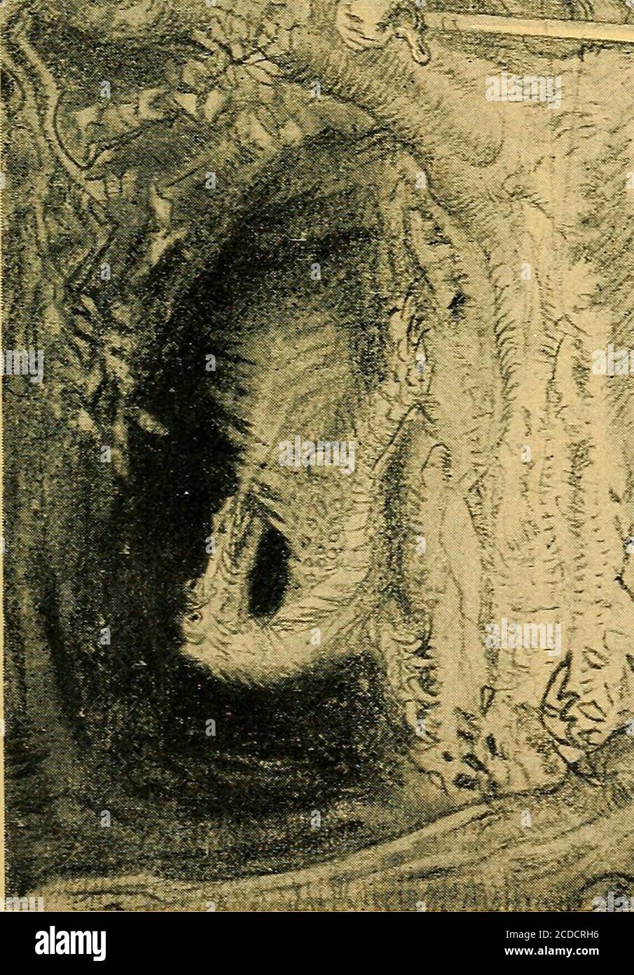 Ha Rte High Resolution Stock Photography And Images Alamy