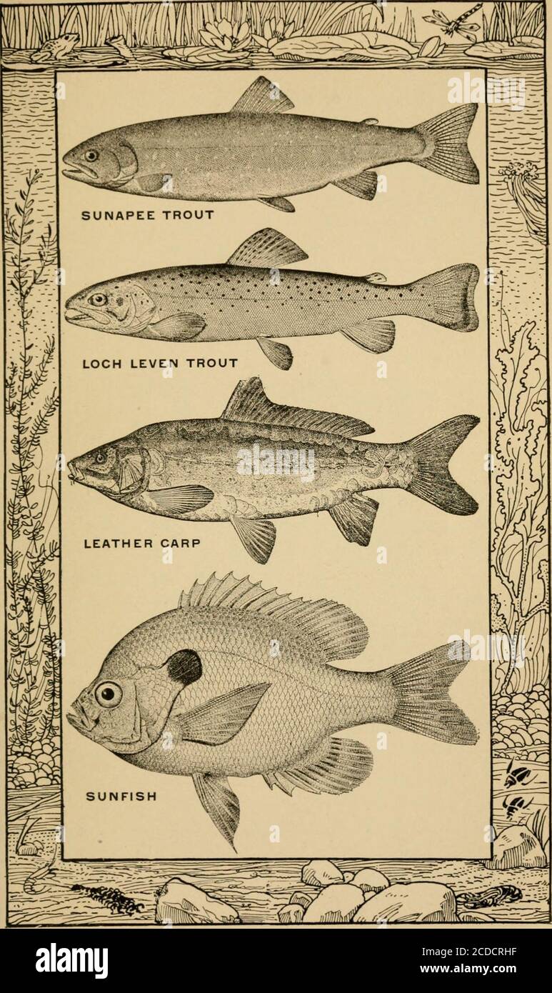 Spinning kick hires stock photography and images Alamy