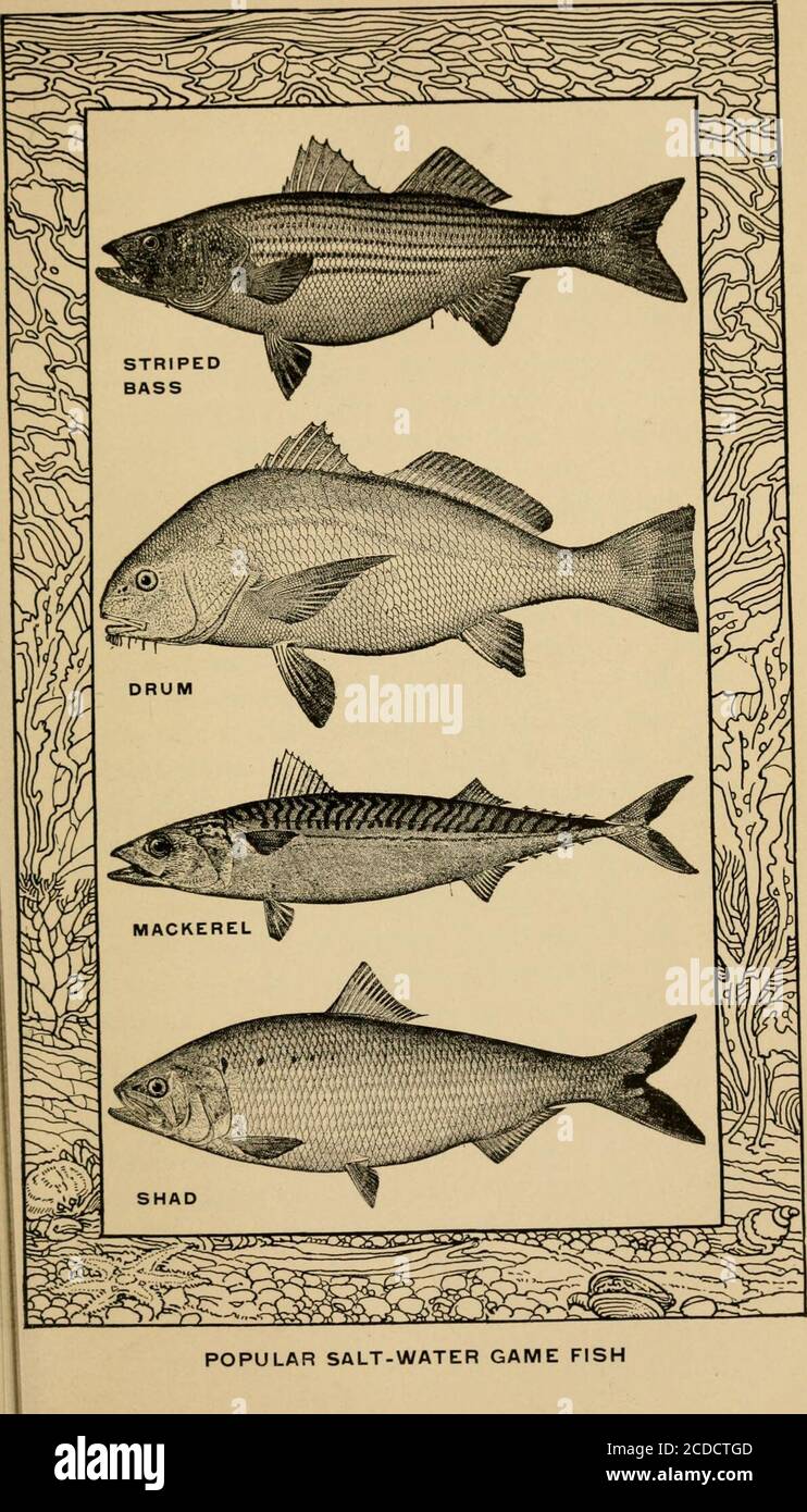 The book of fish and fishing; . l prove effi-cient For still