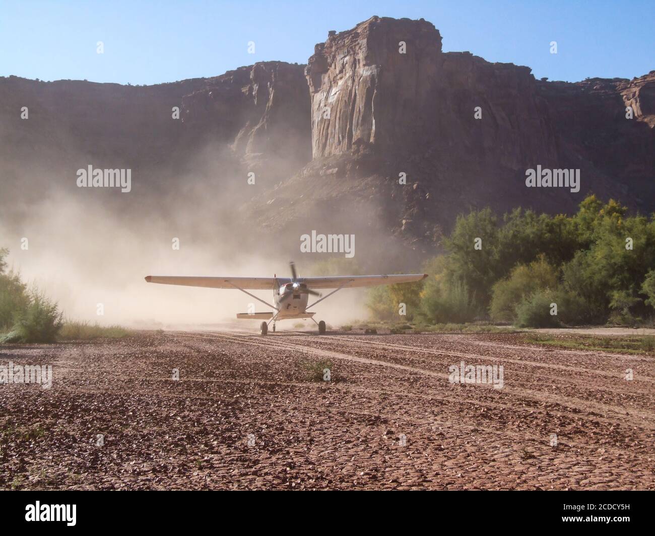 A Cessna 185 Skywagon of the Utah Backcountry Pilots Association lands on the Mineral Bottom airstrip in Labyrinth Canyon near Moab, Utah. Stock Photo