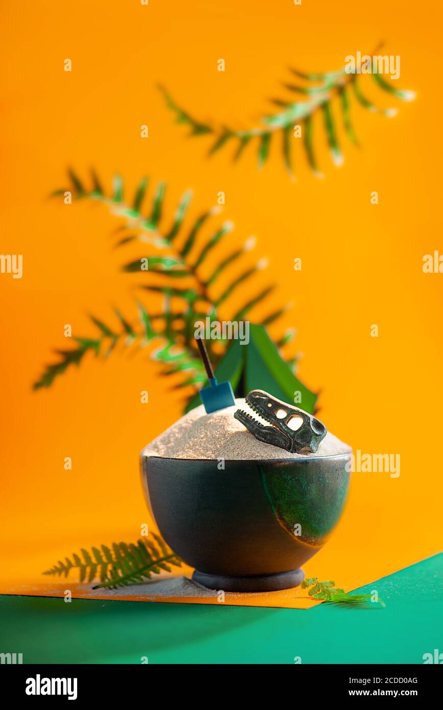 Excavation site with dinosaur skull and archeologist tent, papercraft in a still life with ferns Stock Photo