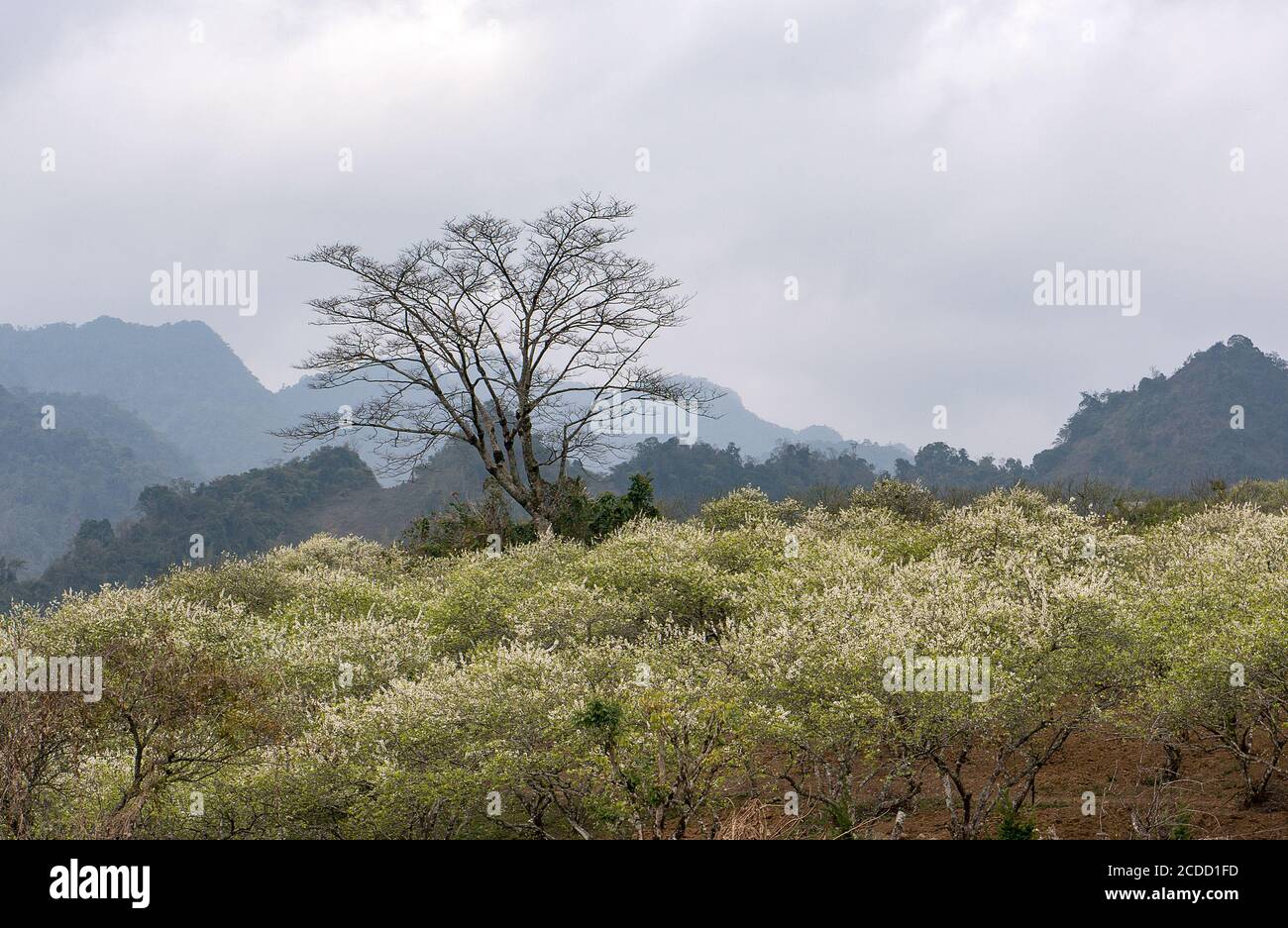 mountainous people in the North of Vietnam Stock Photo