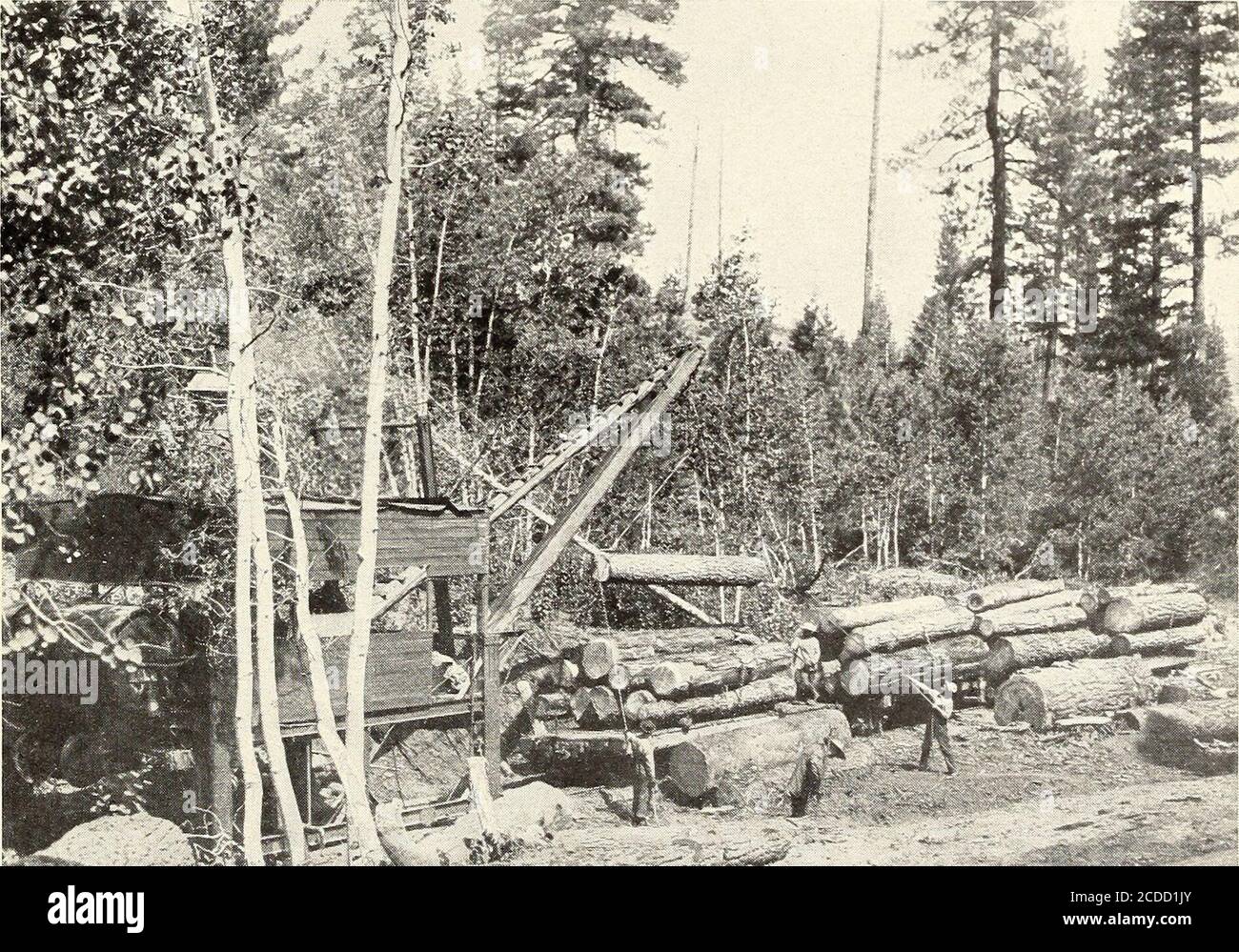 . Lumbering in the sugar and yellow pine region of California . F953II Fig. 1.—Loading Logs