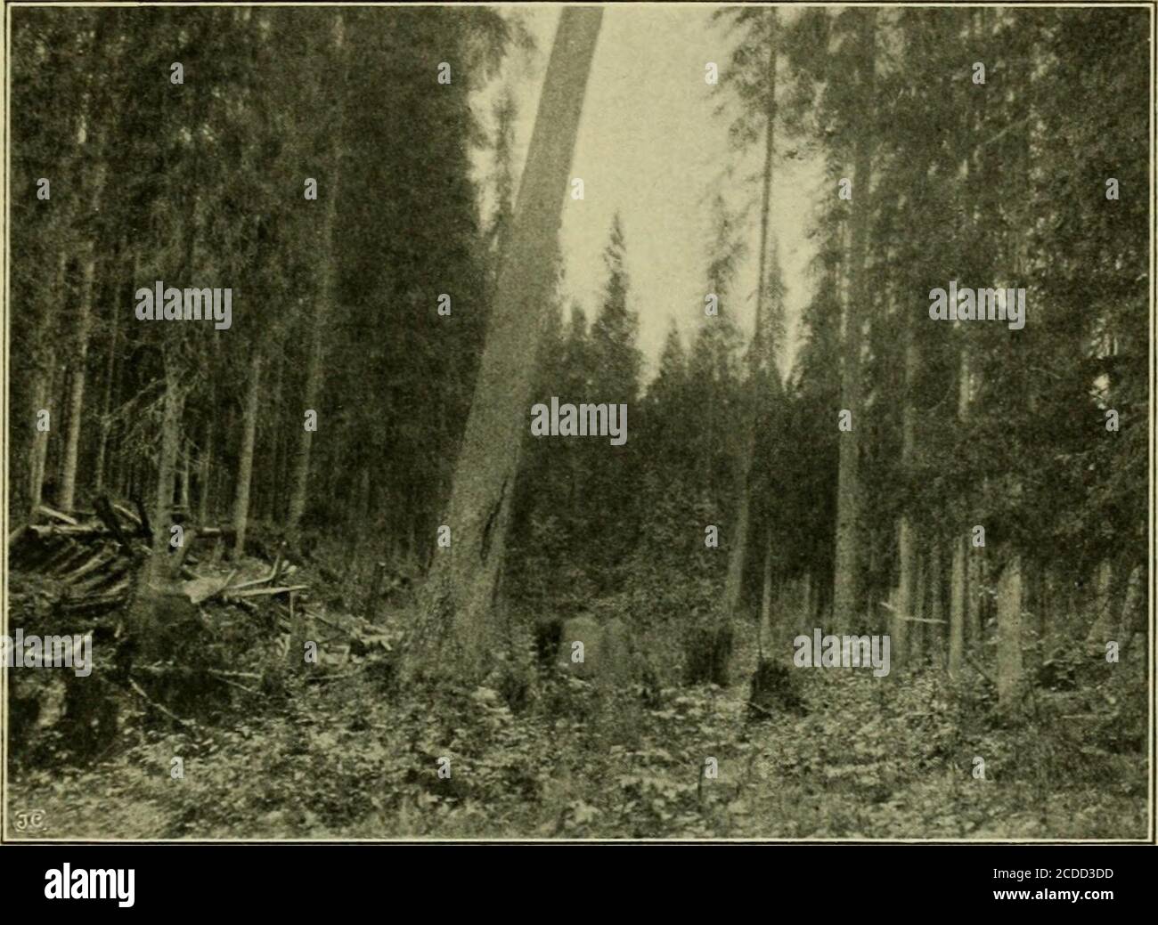 Irina ogziga sikiladi Yetuk ona pornosini sikdi