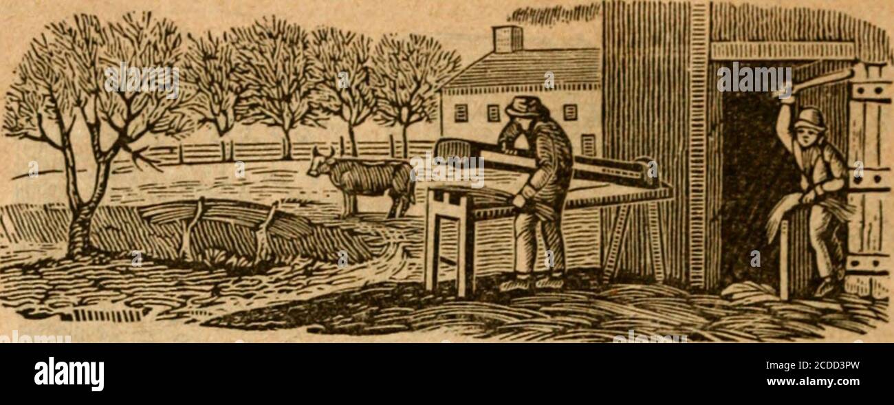 . Webster's calendar, or, The Albany, Columbia, Montgomery, and Washington almanack, for the year of our Lord ... . 74. 7 15 4 45 :-: 2 56 7 14 24 Mo ^ 6 â¢ 4h. morn. 7 iÂ« 4 44 4 12 7 56 2o Tu $ 6 *0TTHllh. morn. 7 16 4 44 5 0 8 38 36 We U a Â© 2h. eve. 7 17 4 43 p 5 50 9 20 27 Th . 32c2 7 20 4 40 a 5 15 11 42 30 E 5 stationary lh. eve. 7 20 4 40 6 3 eve. Before the introduction of anthracite and the baseburner stove, thefelling of wood for the winter store began in this month, and on amild, still day. the measured strokes of the woodmans axe, heard faraway in the thick forest, brought with t Stock Photo