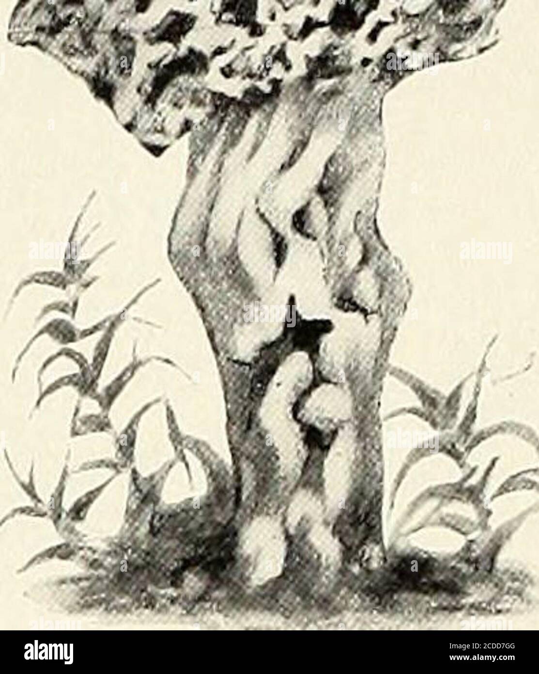 bookyear1873 high resolution stock photography and images alamy