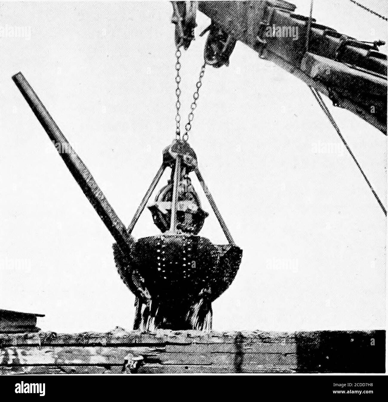 Clam shell in bucket Black and White Stock Photos & Images - Alamy