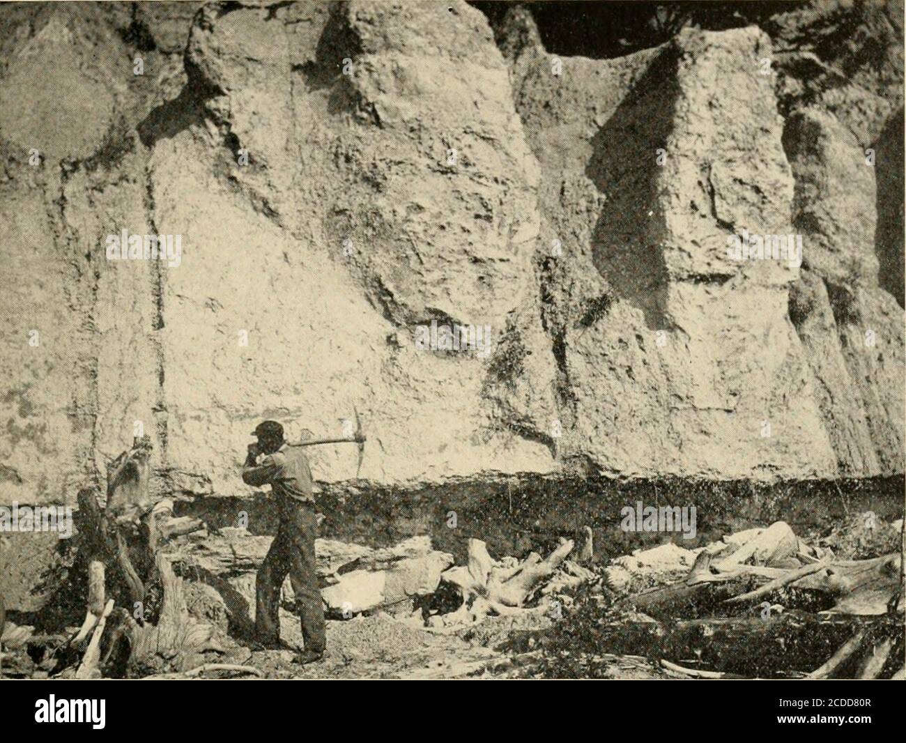 . Cecil county . FlG. 1.—RARITAN FORMATION OVERLAIN BY MATAWAN, GROVE