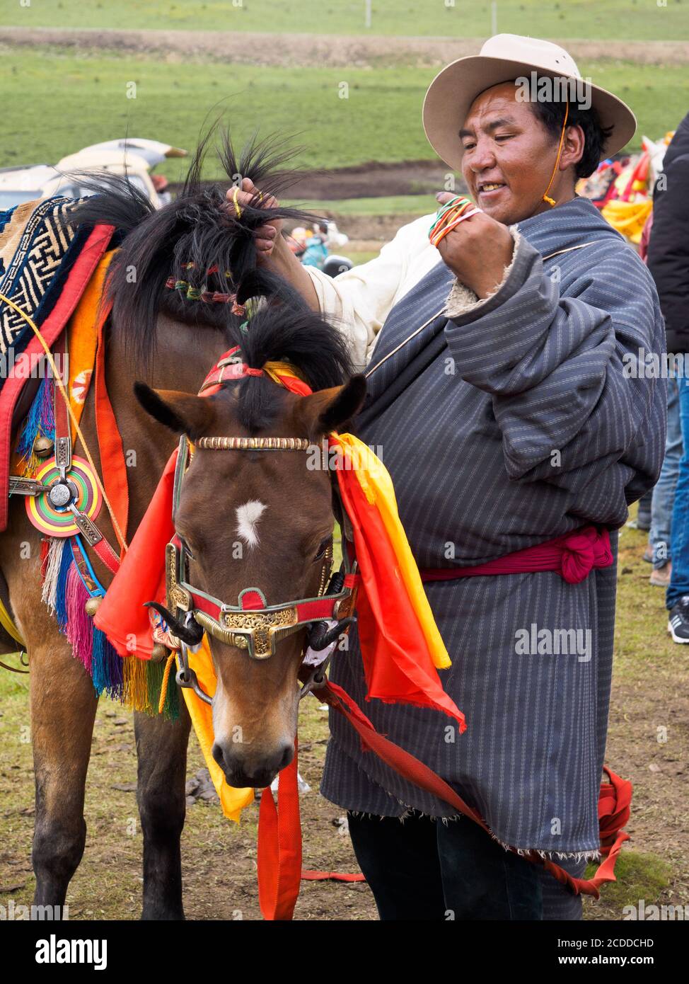 Khampa horse rider was preparing his horse for the racing in a horse festival near Litang City. Stock Photo