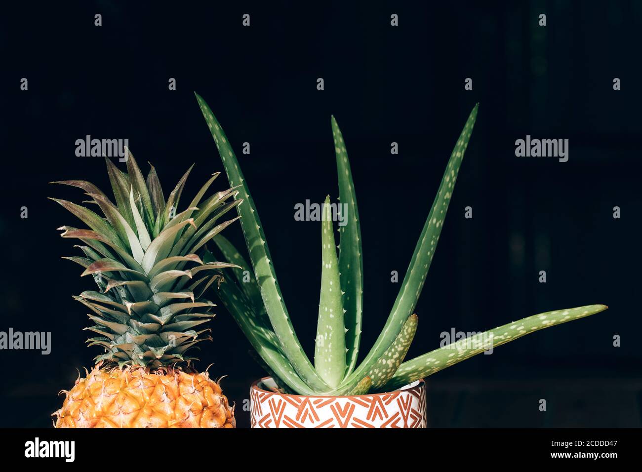 aloe vera gegen sonnenbrand kaufen Bio Aloe Vera Gel mit Lavendelöl l My Little Present main image 0