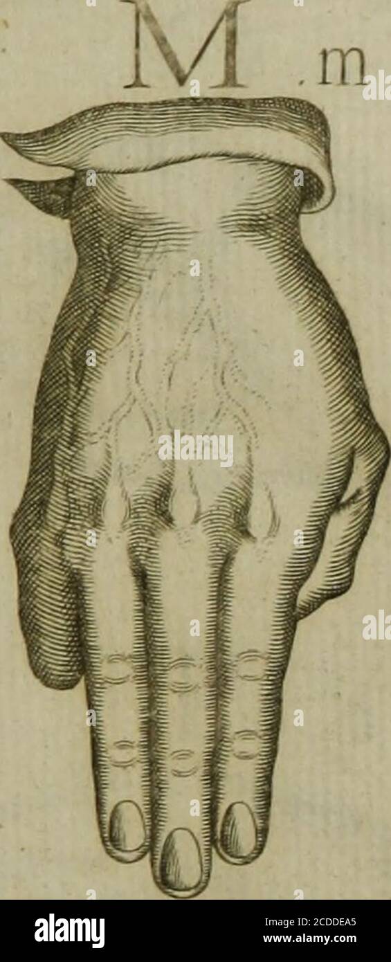 Reduction De Las Letras Y Arte Para Ensenar A H Ablar Los Mudos A K I J I F P L R 5 F I T L N I 3rr L Cirril T Lrt Iar J G K Lt Lt Lt Lt Lt Lt Lt Lt Lt Lt Lt Lt Lt Lt Lt Lt Lt Lt Lt Lt Lt P I I I I