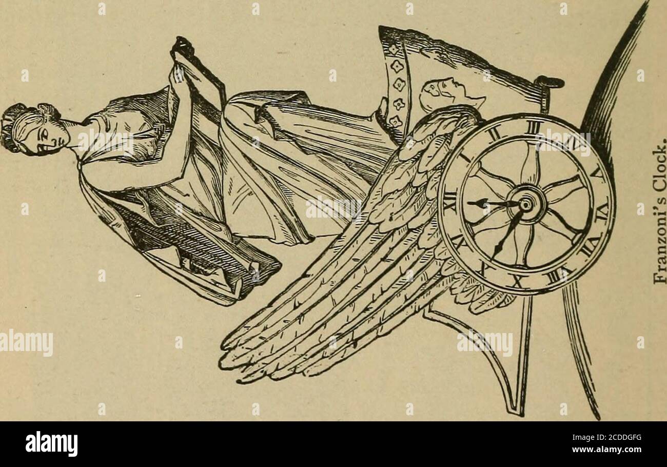 Singular shells hi-res stock photography and images - Alamy