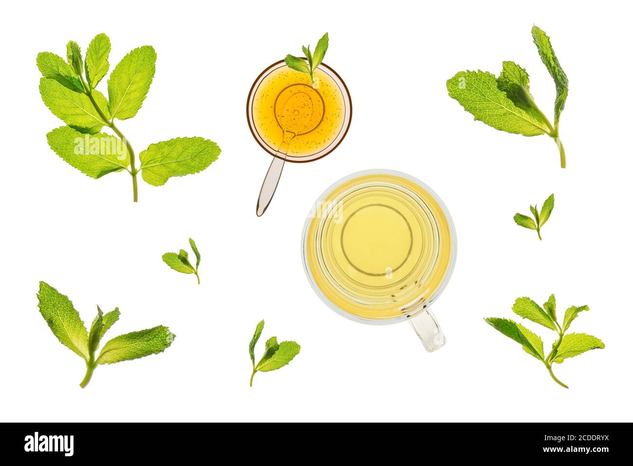 Glass of mint tea with fresh leaves and  a bowl of honey. Isolated on a white background, backlit on a light table.. Isolated on a white background, b Stock Photo