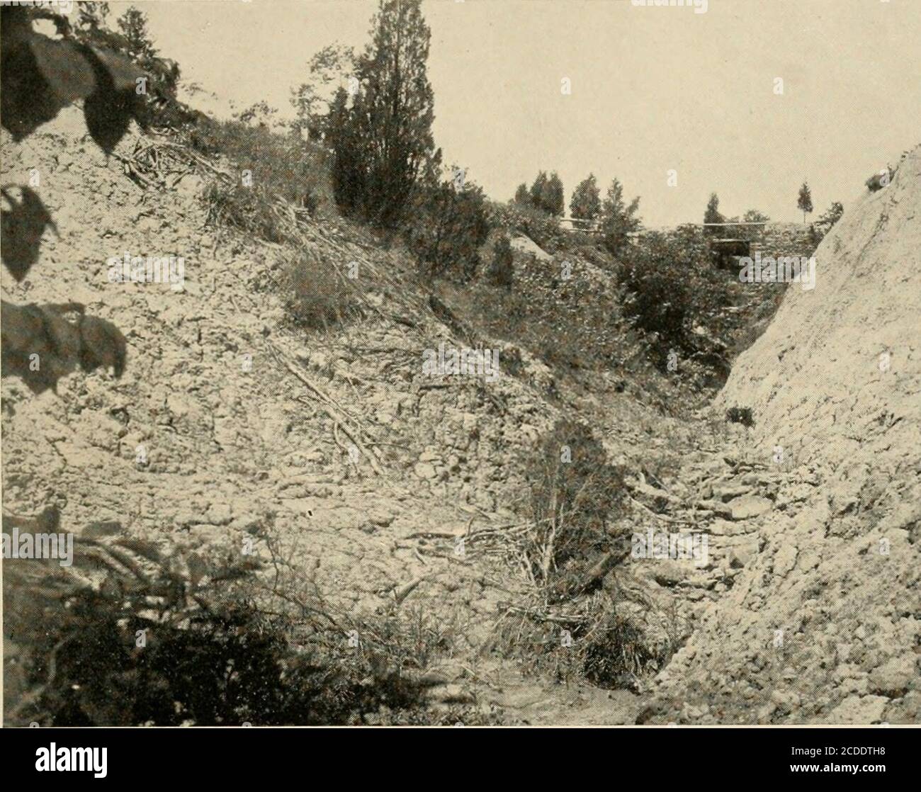Cecil County V 3 Fig 1 A Youxg Valley In Unconsolidated Coastal Plain Deposits T I Fig 2 Wave Cut Cliff On West Shore Of Elk Neck Views Of Cecil County Maryland Geological Survey