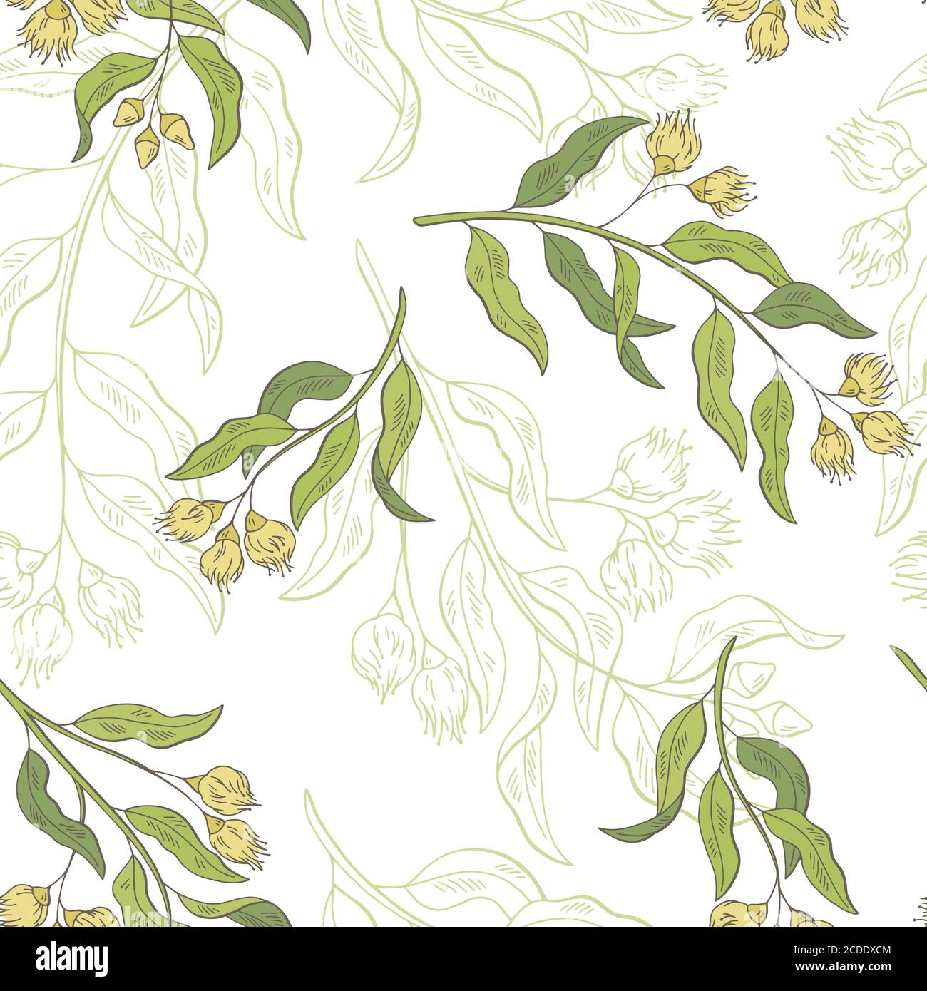 Eucalyptus graphic color seamless pattern background sketch illustration vector Stock Vector