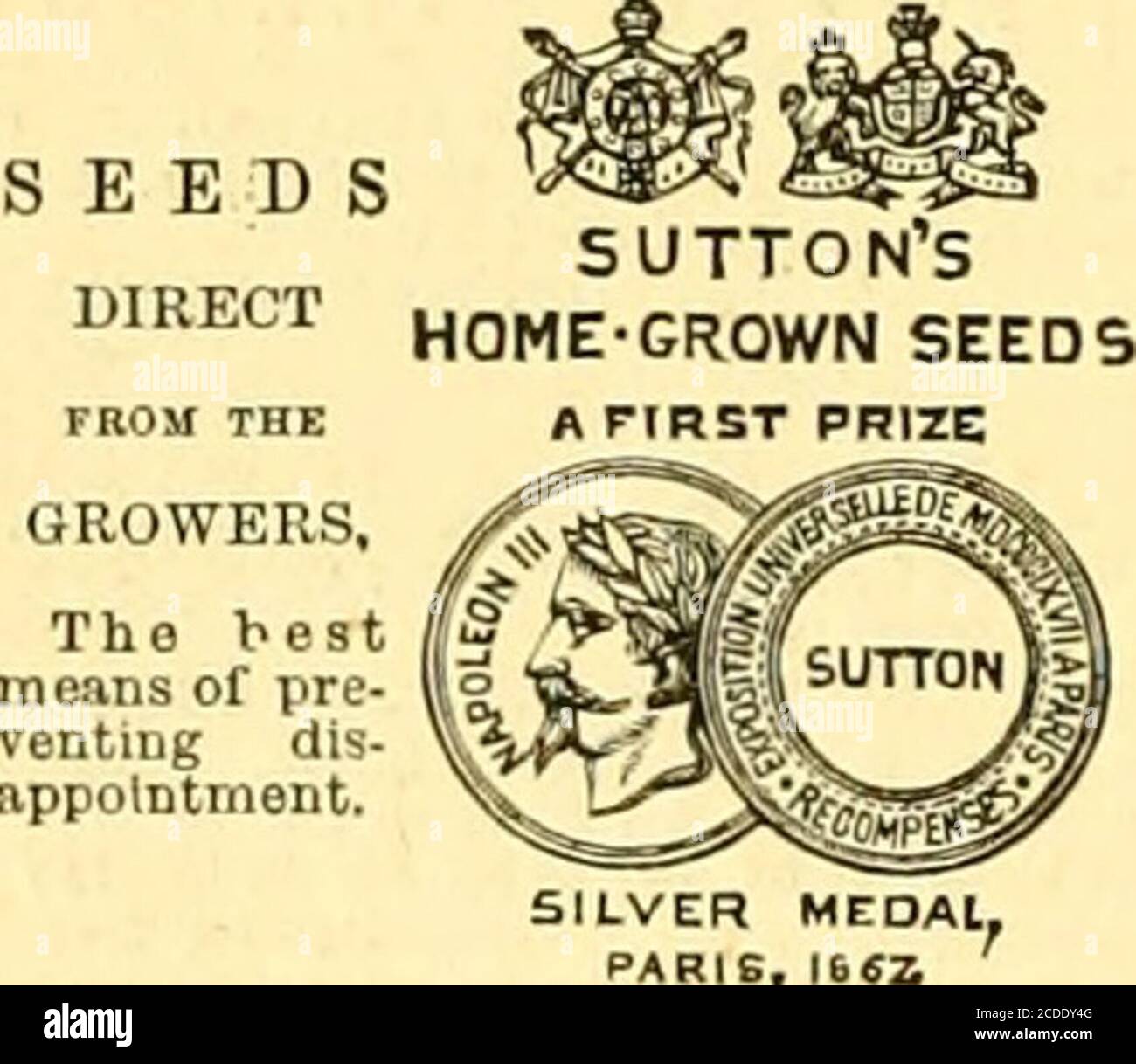 séries grátis no now