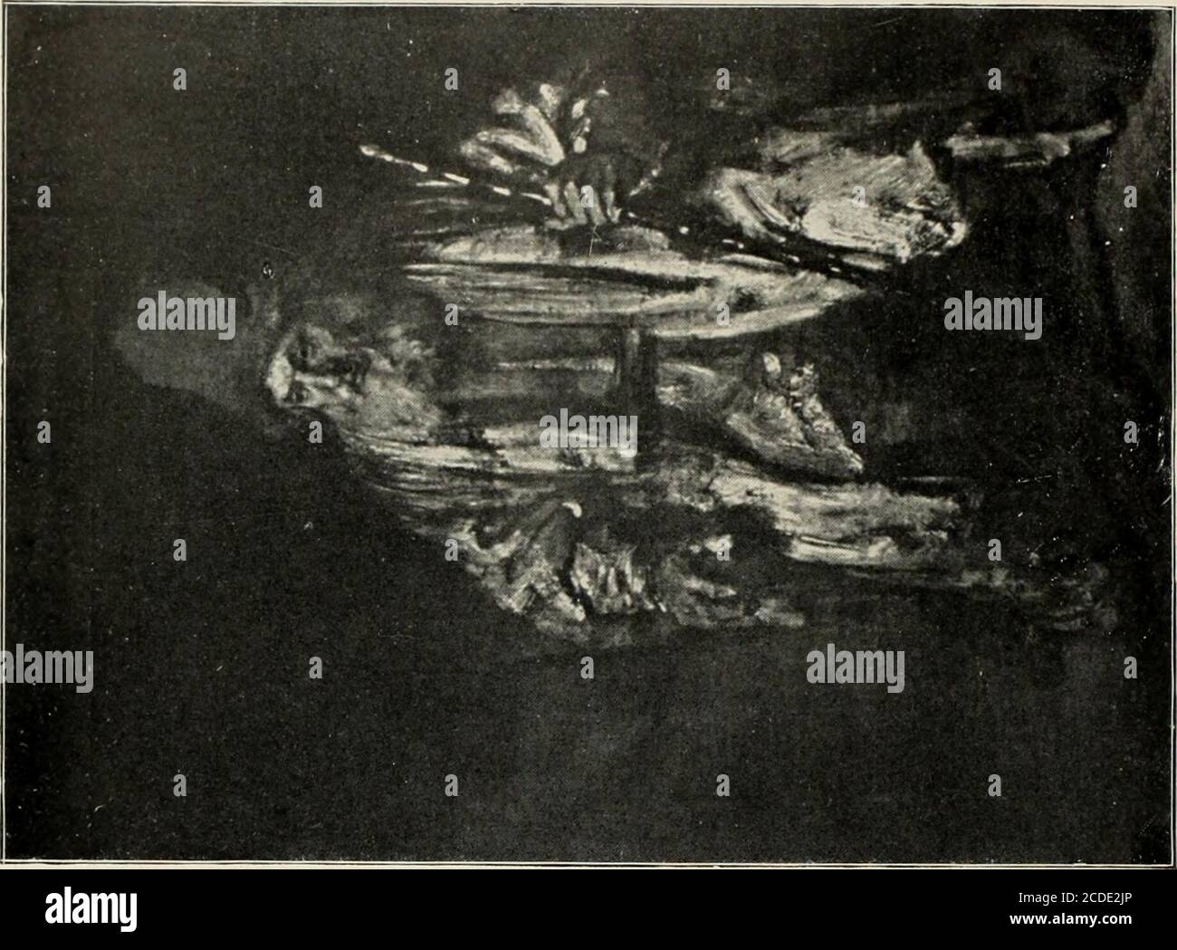 O 435 1 High Resolution Stock Photography And Images Alamy