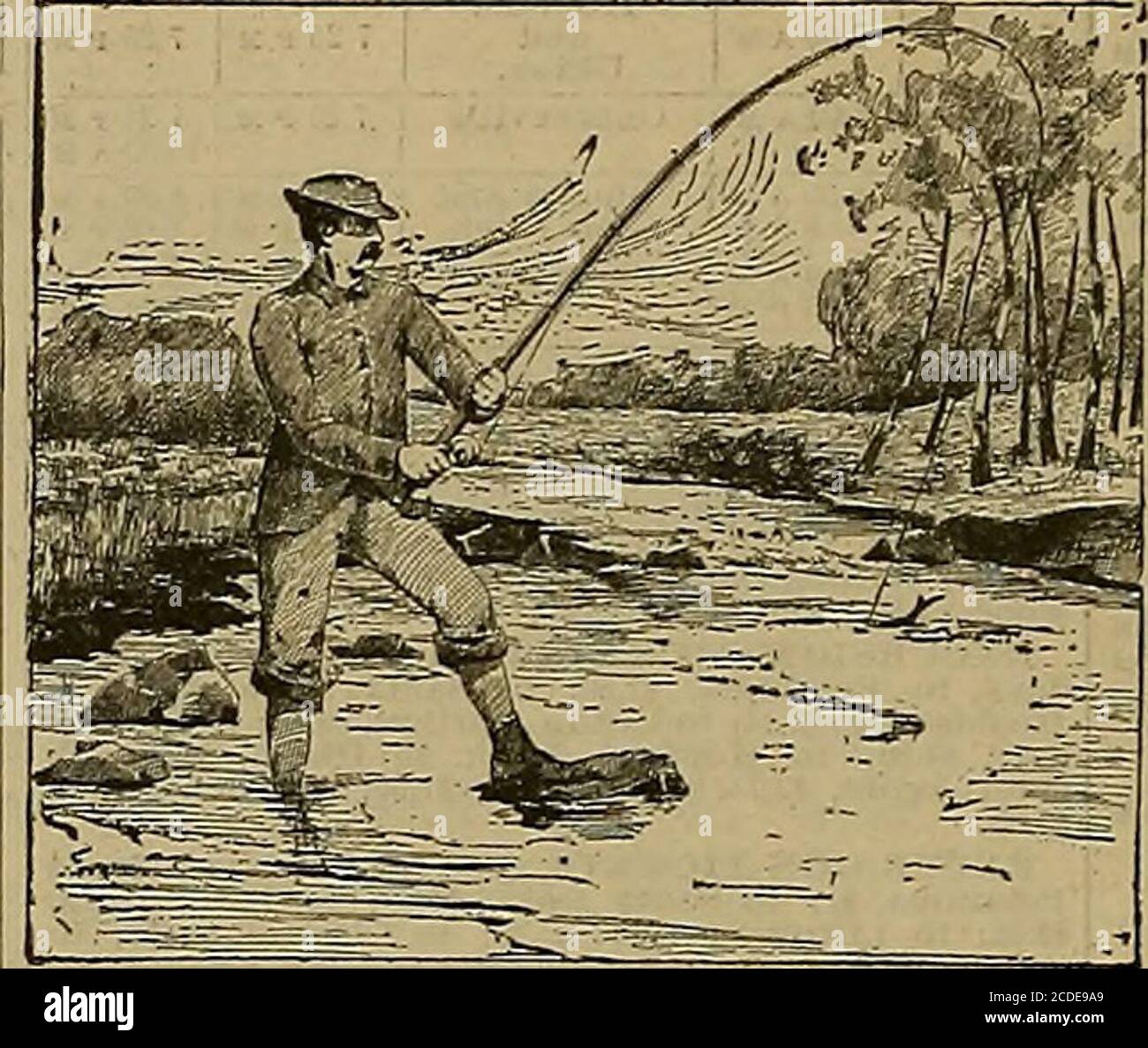 pacific coast bait and tackle