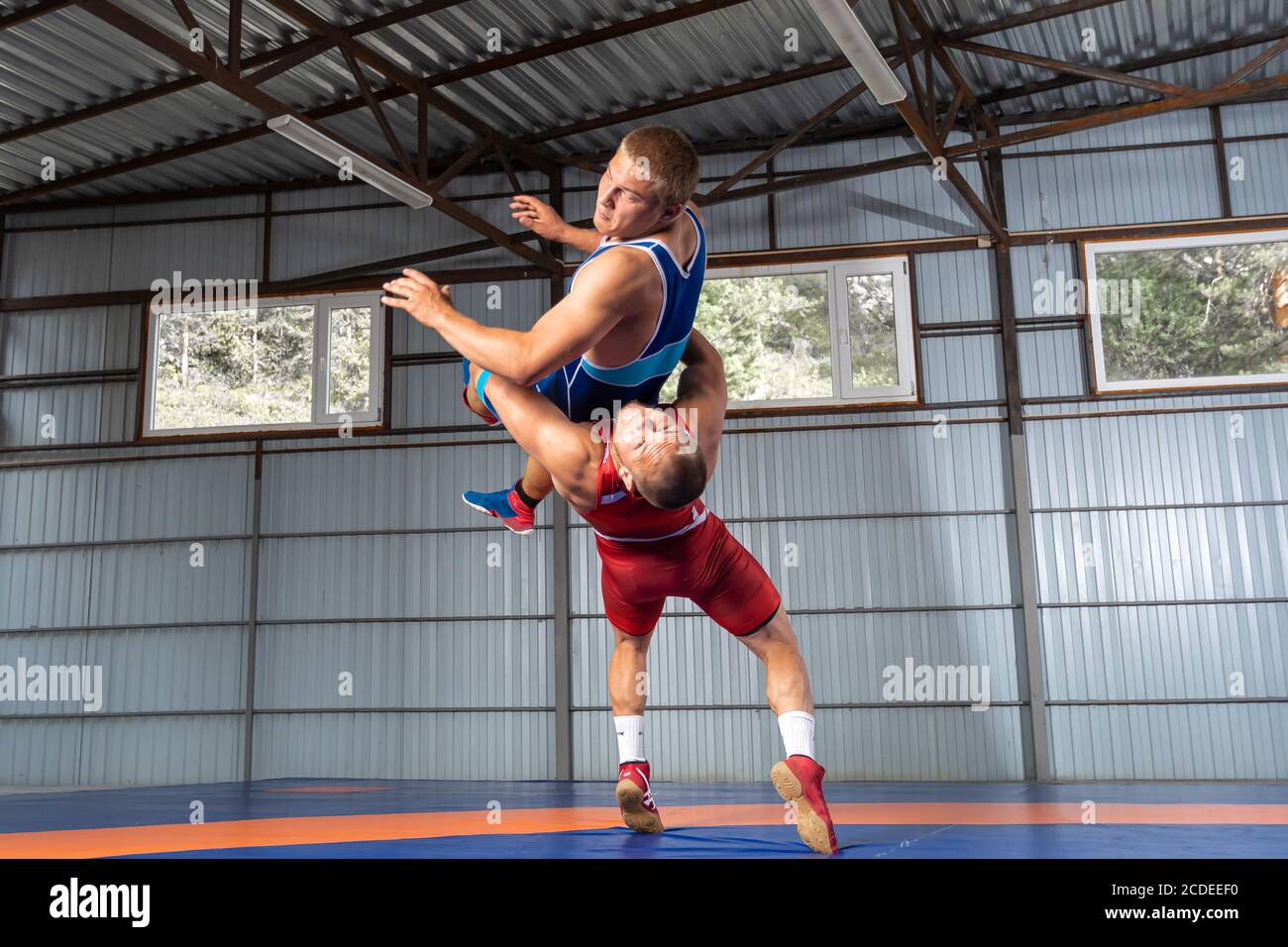 Two men in sports wrestling tights and wrestling during a traditional  Greco-Roman wrestling in fight on a wrestling mat. Wrestler throws his  opponent' Stock Photo - Alamy