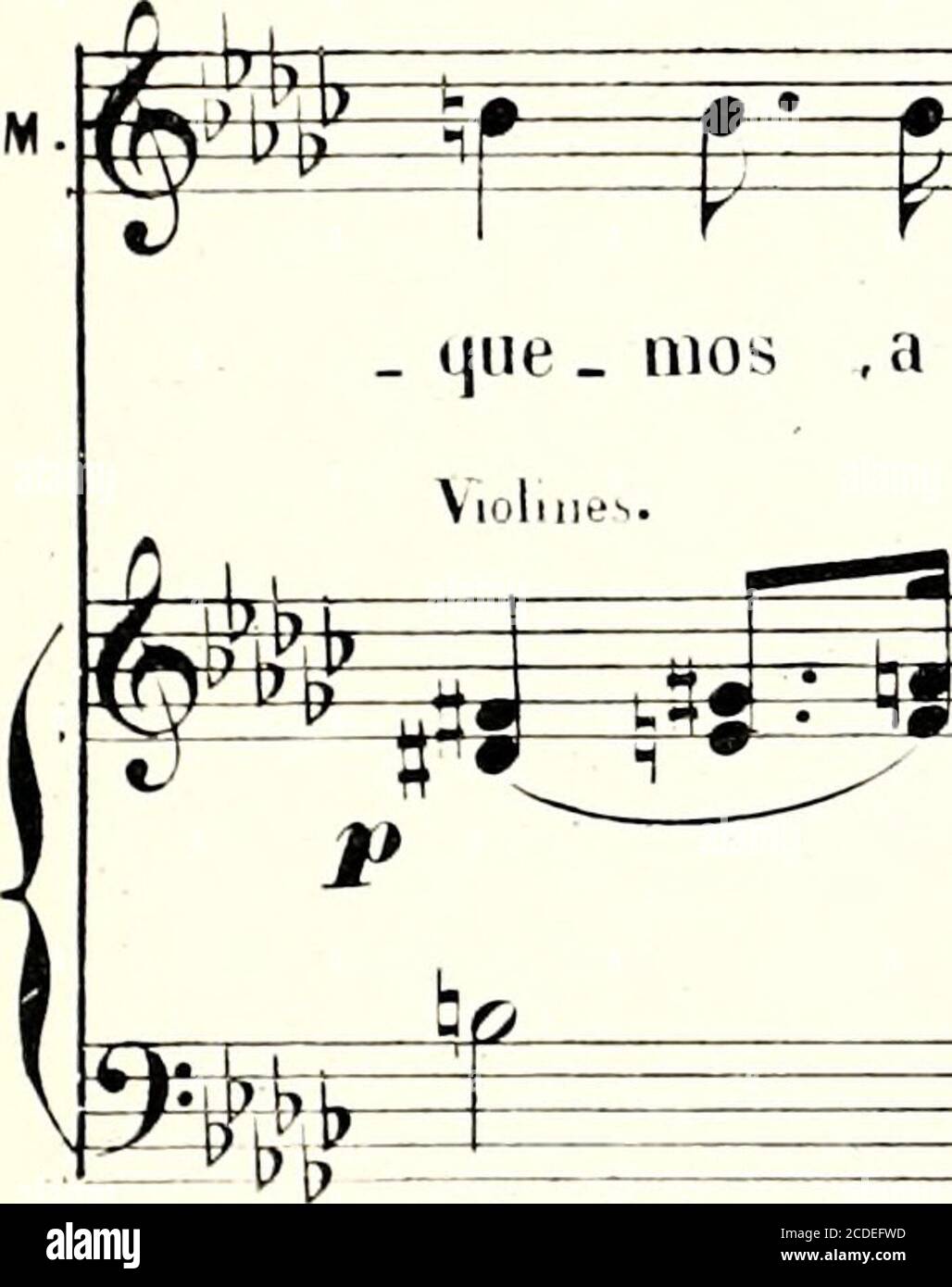 Sssssss High Resolution Stock Photography And Images Alamy