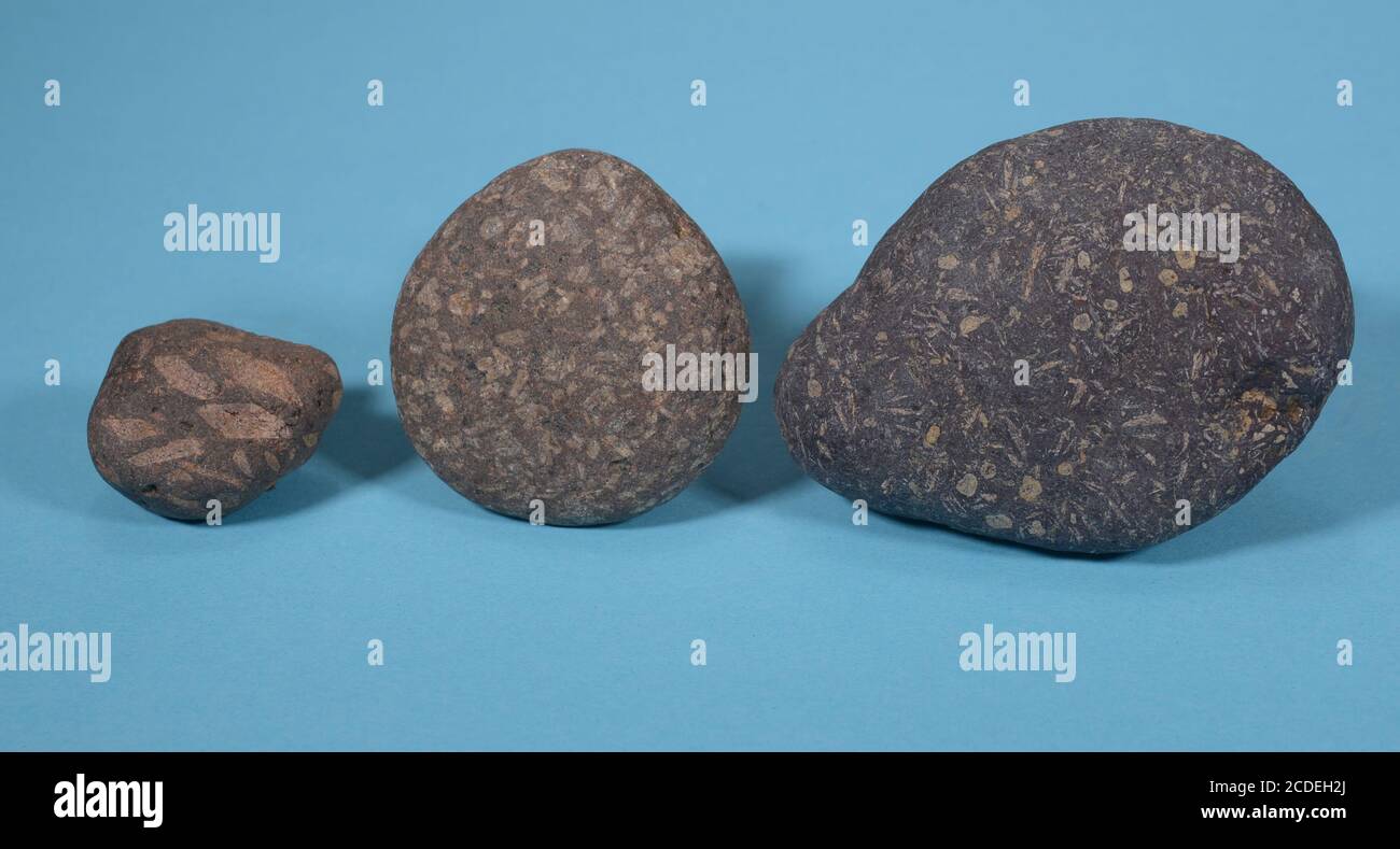 Three specimen of Rhomb-porphyry stones. They are a product of an ice age 2.6 mio years ago and caused by crystallisation of two different molten ston Stock Photo
