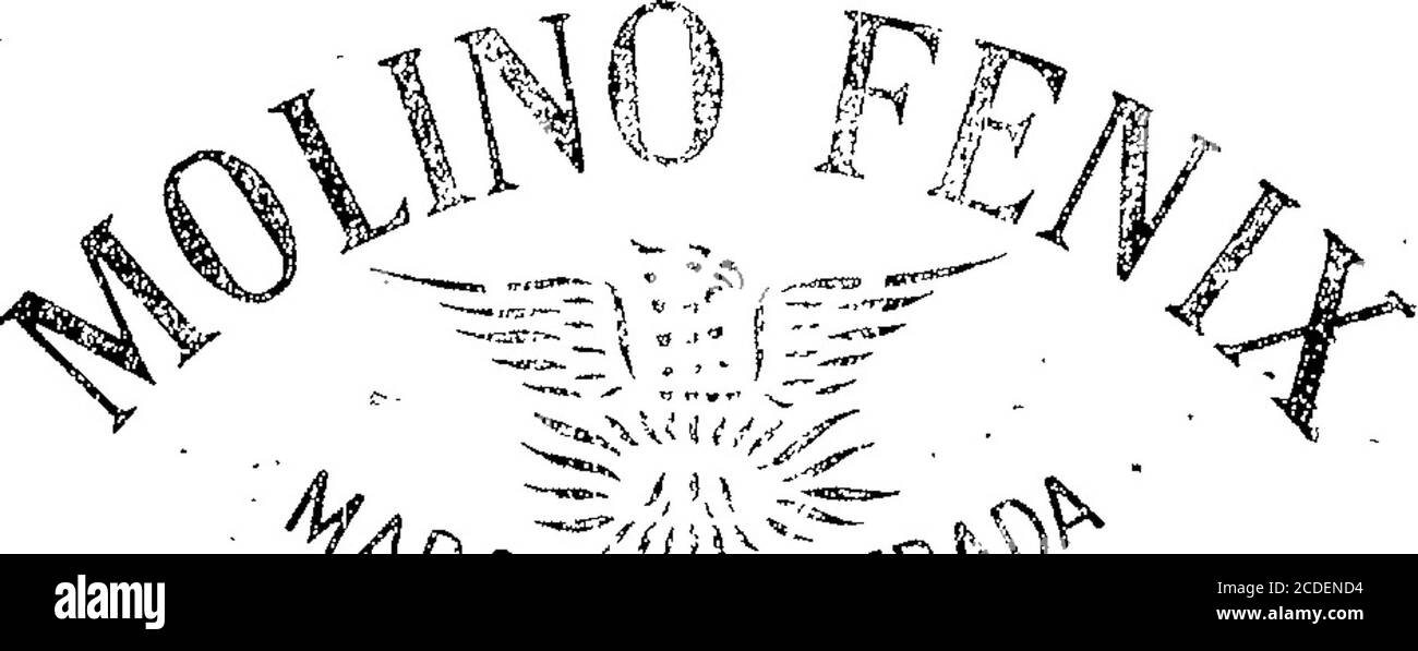 Uoe High Resolution Stock Photography And Images Alamy