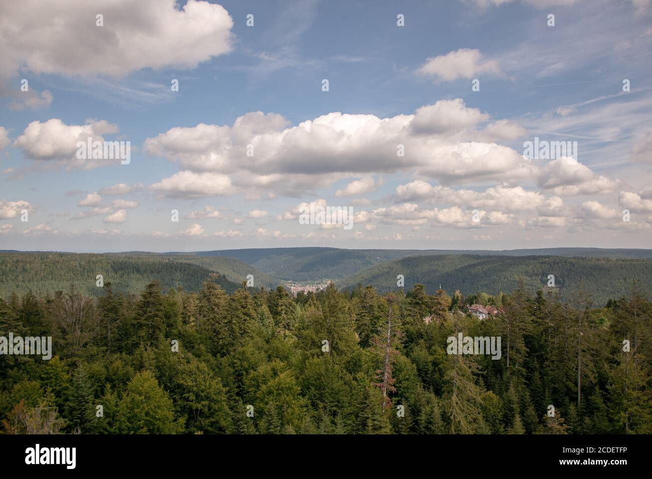 Beautiful aerial shot of a dense green forest with under a bright ...