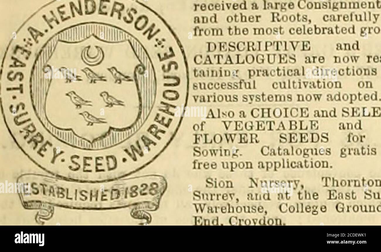 . The Gardeners' chronicle and agricultural gazette . announce that hiaNEW OENKKAL CATALOGUE of 92 PagoH, contaiTiniKSELECT DF&gt;.CKlPriE, ftnd PUICED LISTS, of New and RureStove, Greenhouse, and Hardy Plnnts, Hai-dy Beddinp Plants, ko. ;Alpine mid Herbtceous Plants. Aquatics, Azalea Infiioa, Conilers,Exotio Orchids, Ferns, Ac. Hnrdy. Greenhouse, and stove ; Gi-apes;Miscellaneous Stove, Greenhouse, and Hardy Plants ;Orna.mental Pfilnis. Cycarts, &c.; Rhododendrons, Roses, Sweet vir -  nths, Tulitis, Gladioli, and other Bulbs, is E V published, andMpt of SIX postage stamps.Exotic Nurbery. To Stock Photo
