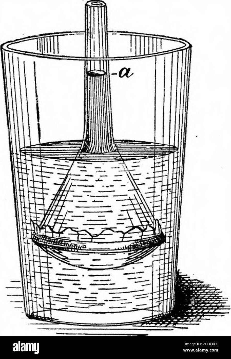Port Decrement effektivitet Scientific American Volume 59 Number 04 (July 1888) . Fig. 1.-SIMPLE WAY OF  SHOWINGTHE DIFFUSION OF GASES. Fig. 2.-PRESSURE BY ENDOSMOSE. Fig.  3.-PARTIAL VACUUM BY EXOSMOSE. Fig. 4.-END0SM0METER. A good way