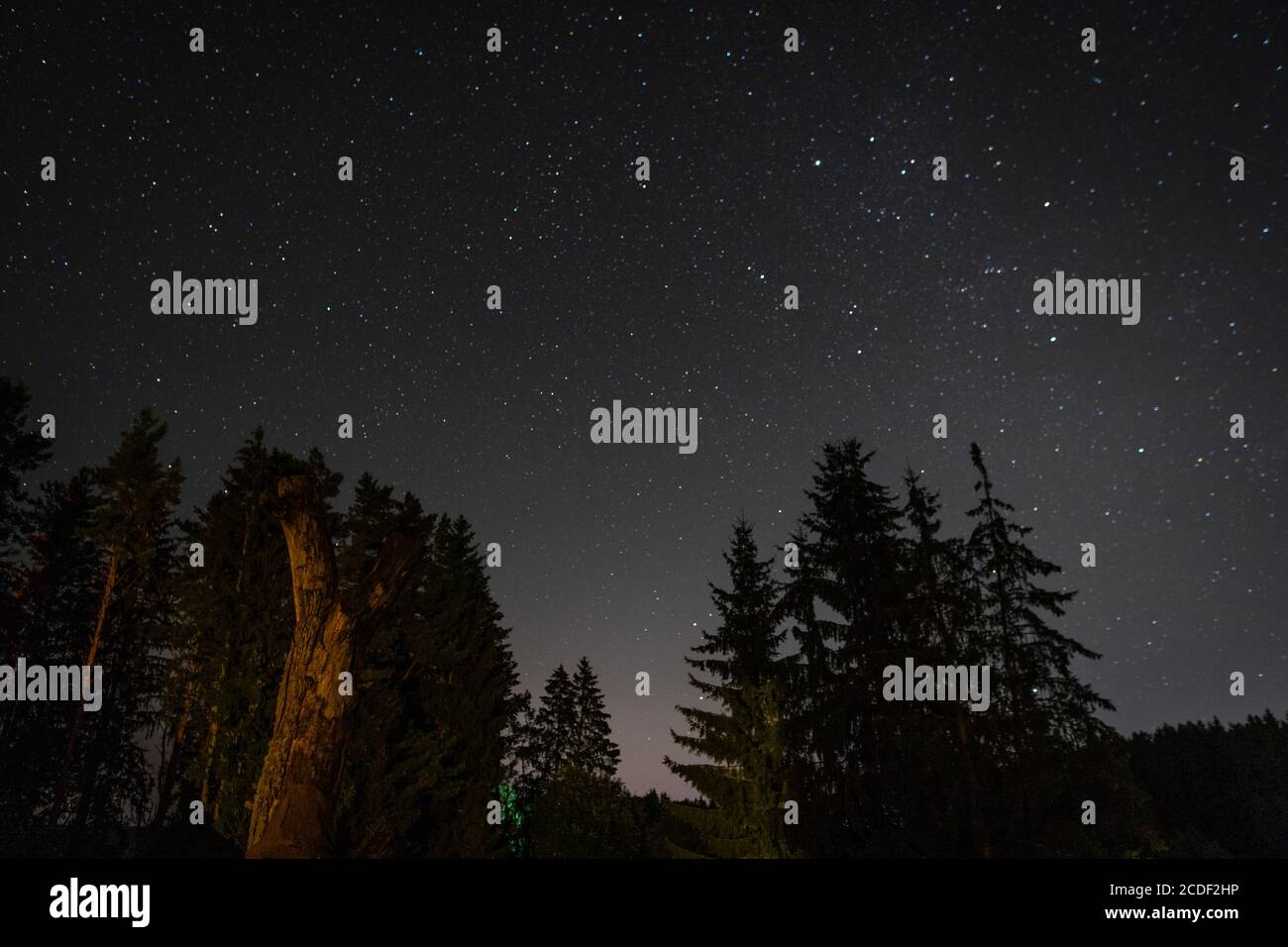Starry sky over forest hi-res stock photography and images - Alamy