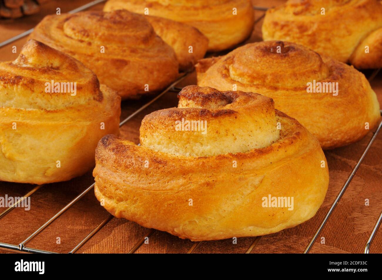 Fresh baked cinnamon rolls cooling on a wire rack Stock Photo