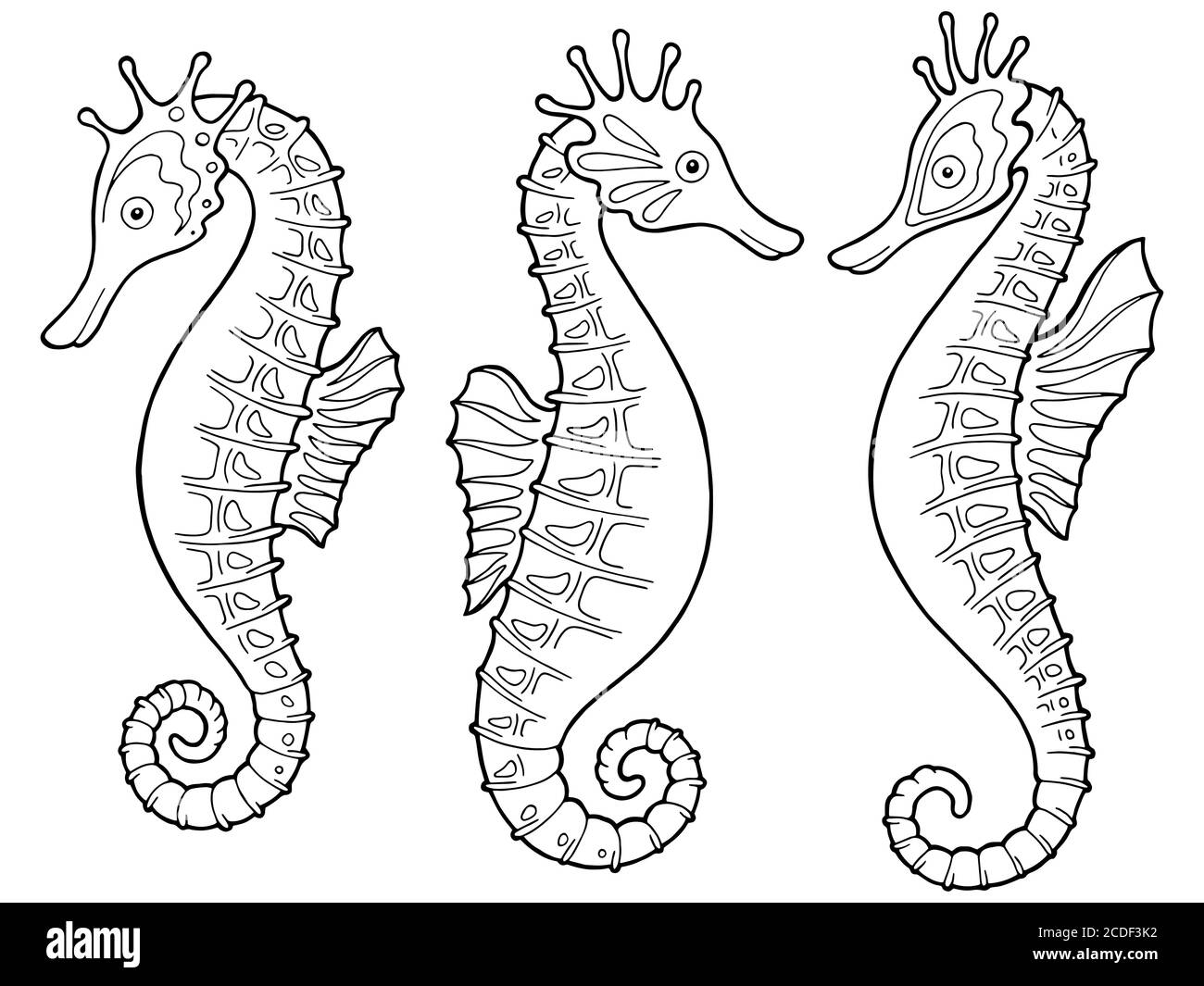 Sea horse graphic black white isolated sketch set illustration vector Stock Vector