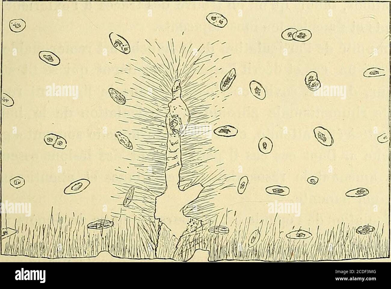 Page 2 Sillons High Resolution Stock Photography And Images Alamy Page 2 Sillons High Resolution Stock Photography And Images Alamy