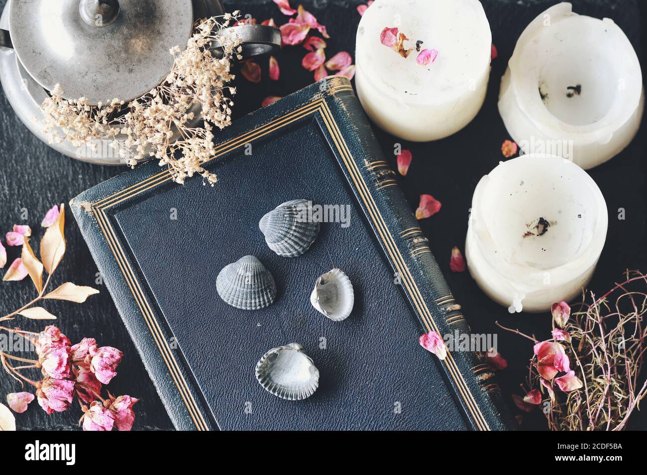 Divination using sea shells in hoodoo witchcraft practice on wiccan witch altar. Four seashells laying on blue vintage book Stock Photo