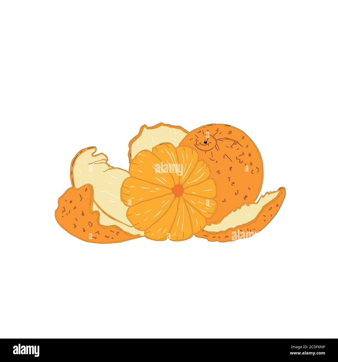 set with tangerines isolated on a white background. Stock Vector