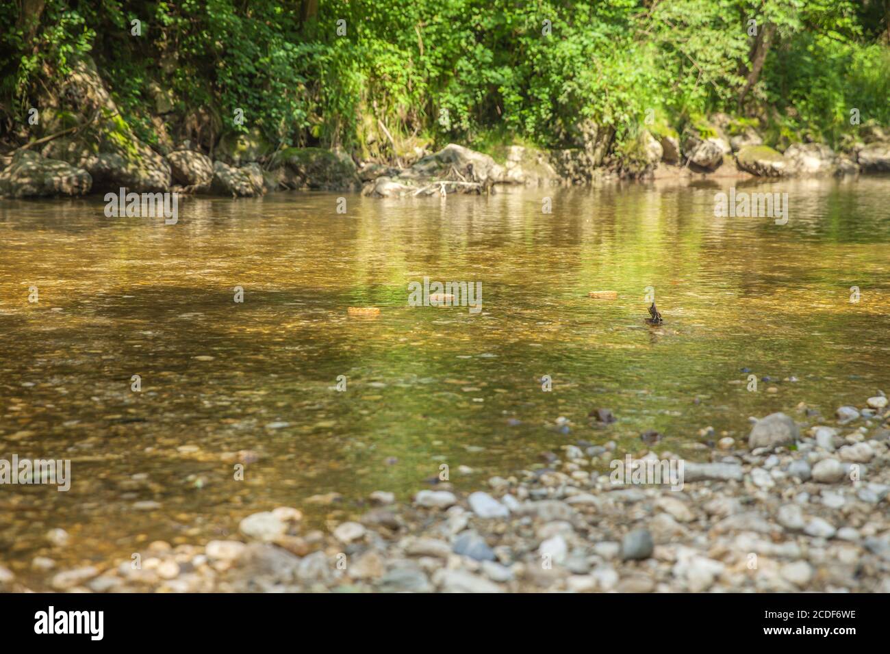 Close up shot river hi-res stock photography and images - Alamy