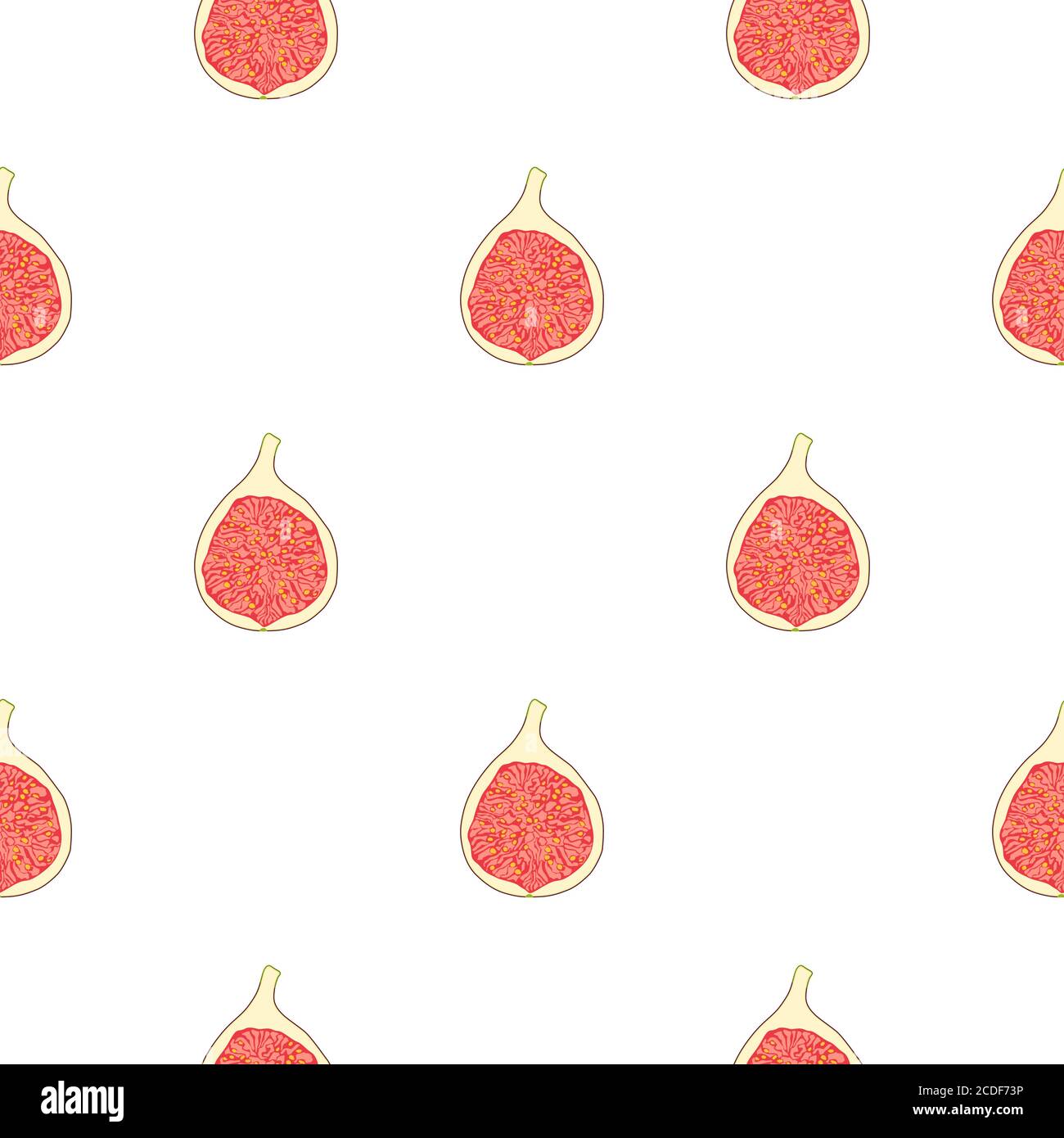 Illustration on theme big colored seamless purple fig, bright fruit pattern for seal. Fruit pattern consisting of beautiful seamless repeat fig. Simpl Stock Vector