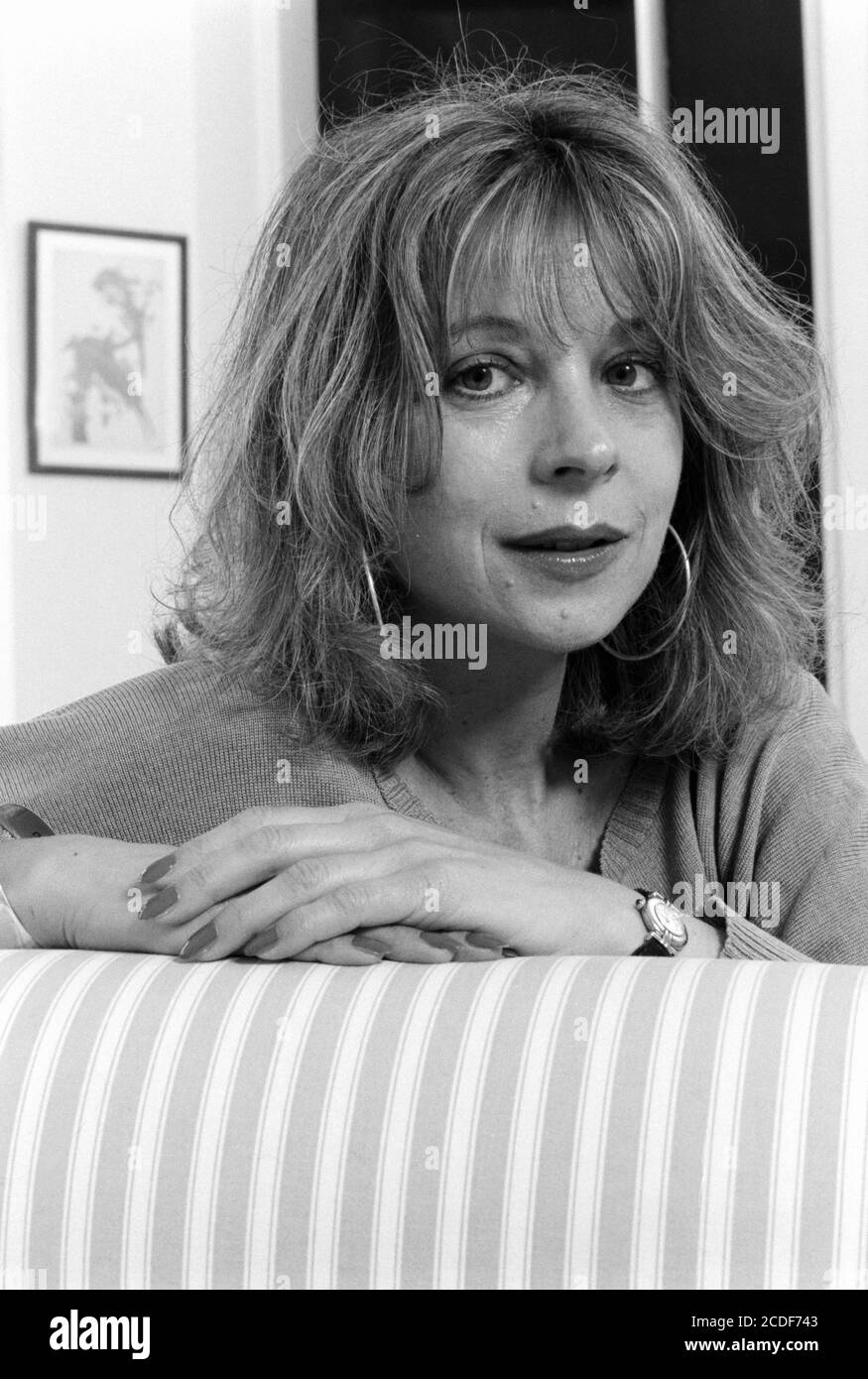 Jacqueline Rose, academic and author of a biography of Sylvia Plath.  Fortune Green, NW6. 07 May 1993. Photo: Neil Turner Stock Photo - Alamy