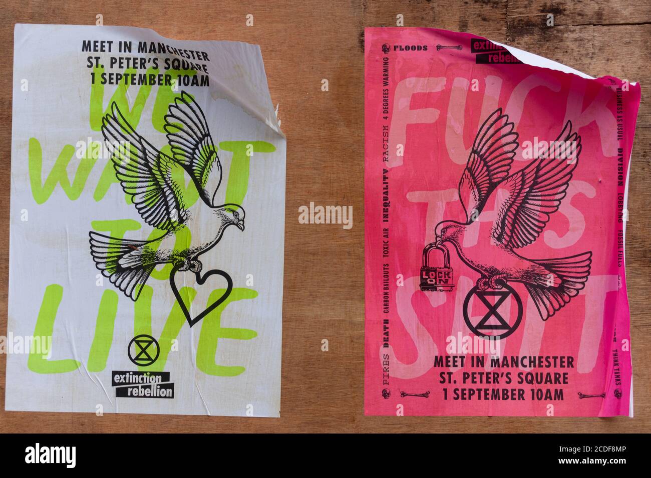Posters advertising an Extinction Rebellion protest in Manchester, England, UK Stock Photo