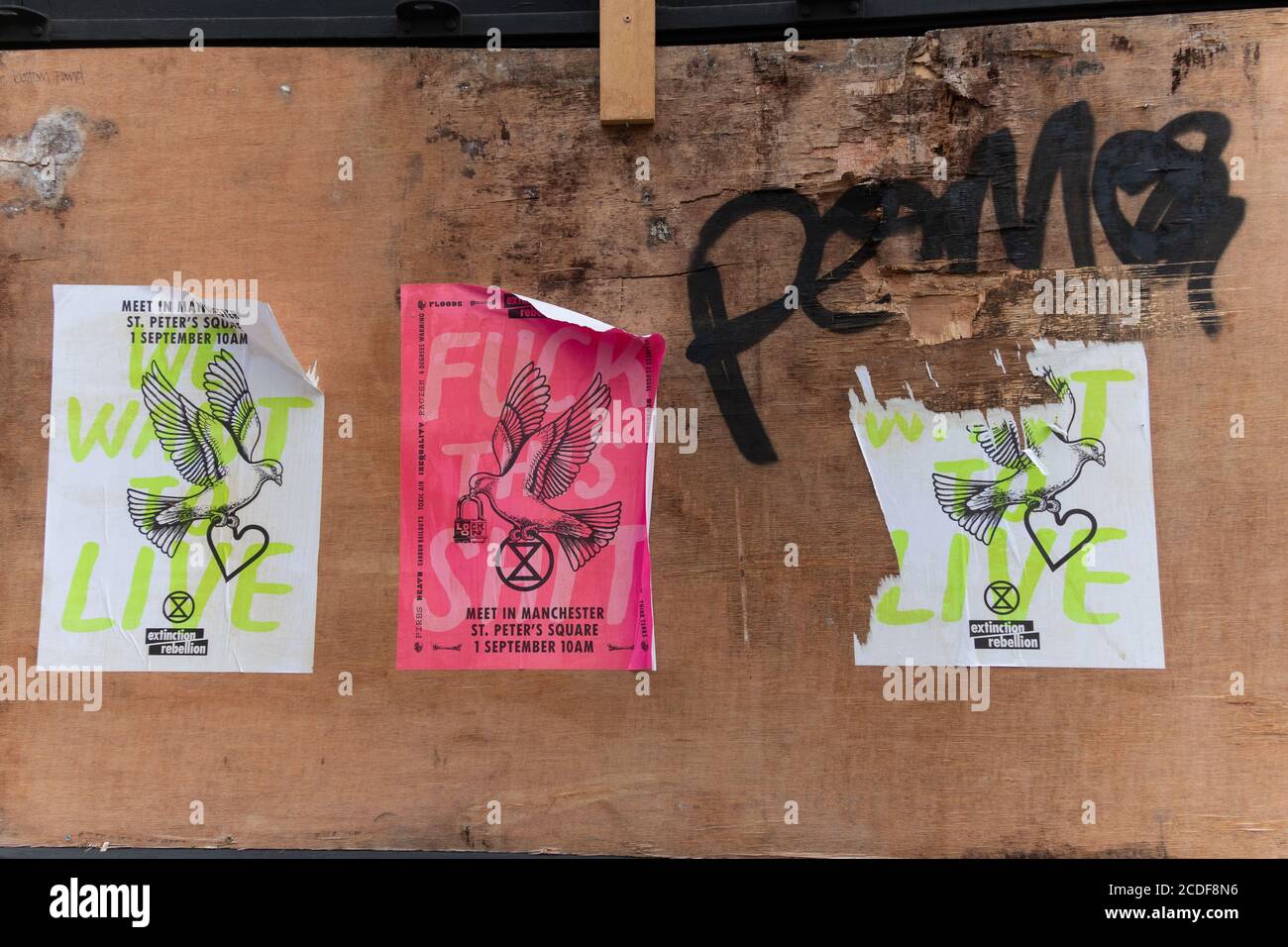 Posters advertising an Extinction Rebellion protest in Manchester, England, UK Stock Photo