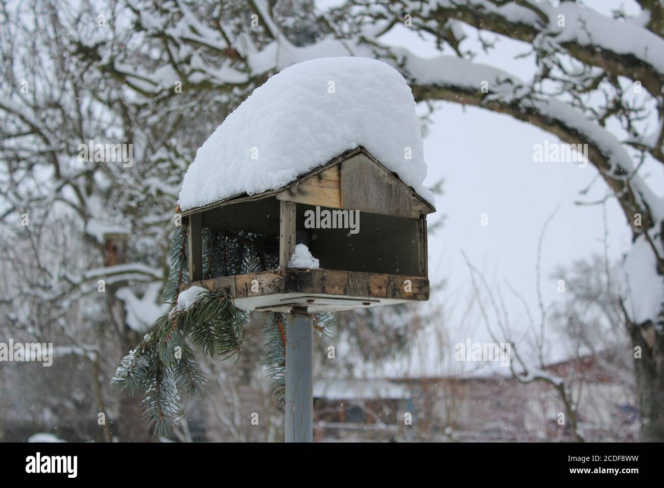 wooden bird feed under deep snow in winter with a tree in the