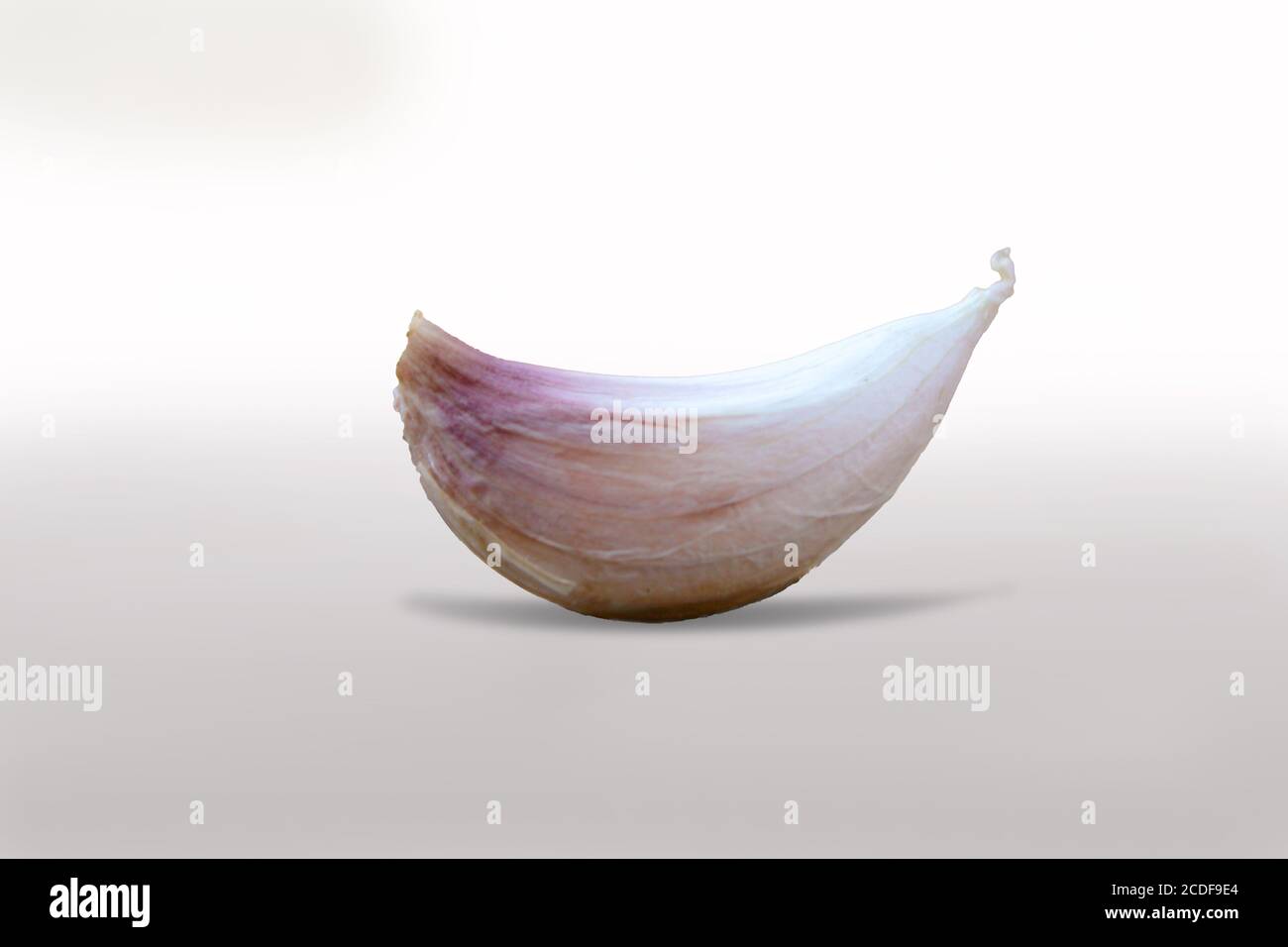 Garlic clove isolated on white background Stock Photo