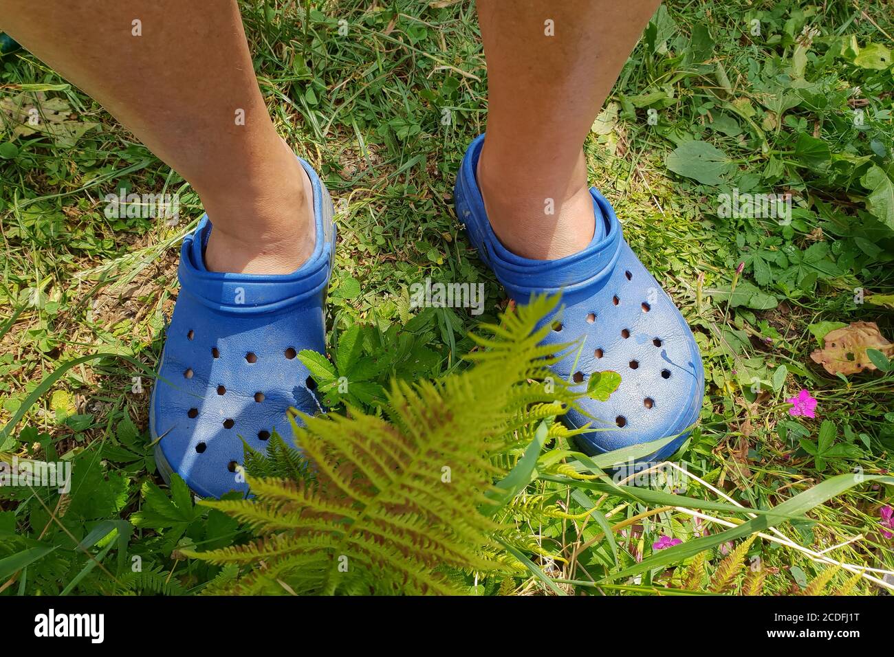 crocs on people's feet