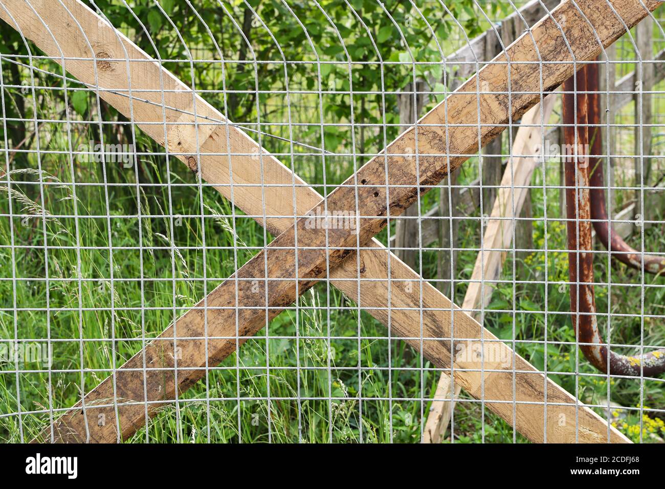 Closeup of a fence made of metal mesh fixed by boards Stock Photo - Alamy