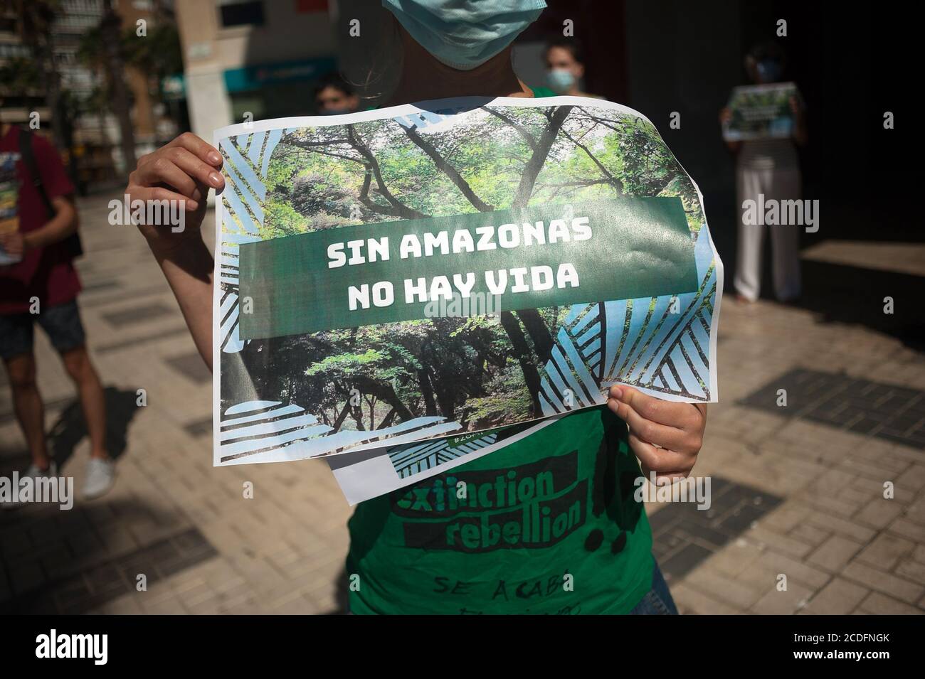 A protester wearing a face mask holds a placard expressing her opinion during the demonstration at La Malagueta square in Malaga.From 28 to 30 August members of 'Extinction Rebellion' movement have organized several actions to alert people about the situation of Amazonian Selva, considere the 'lungs of the world'; against commercial treaty between EU - MERCOSUR agreed for Brazilian president Jair Bolsonaro which would cause the deforestation of Amazonia and a negative impact in the climate while forest fires continue rising in the region. Stock Photo
