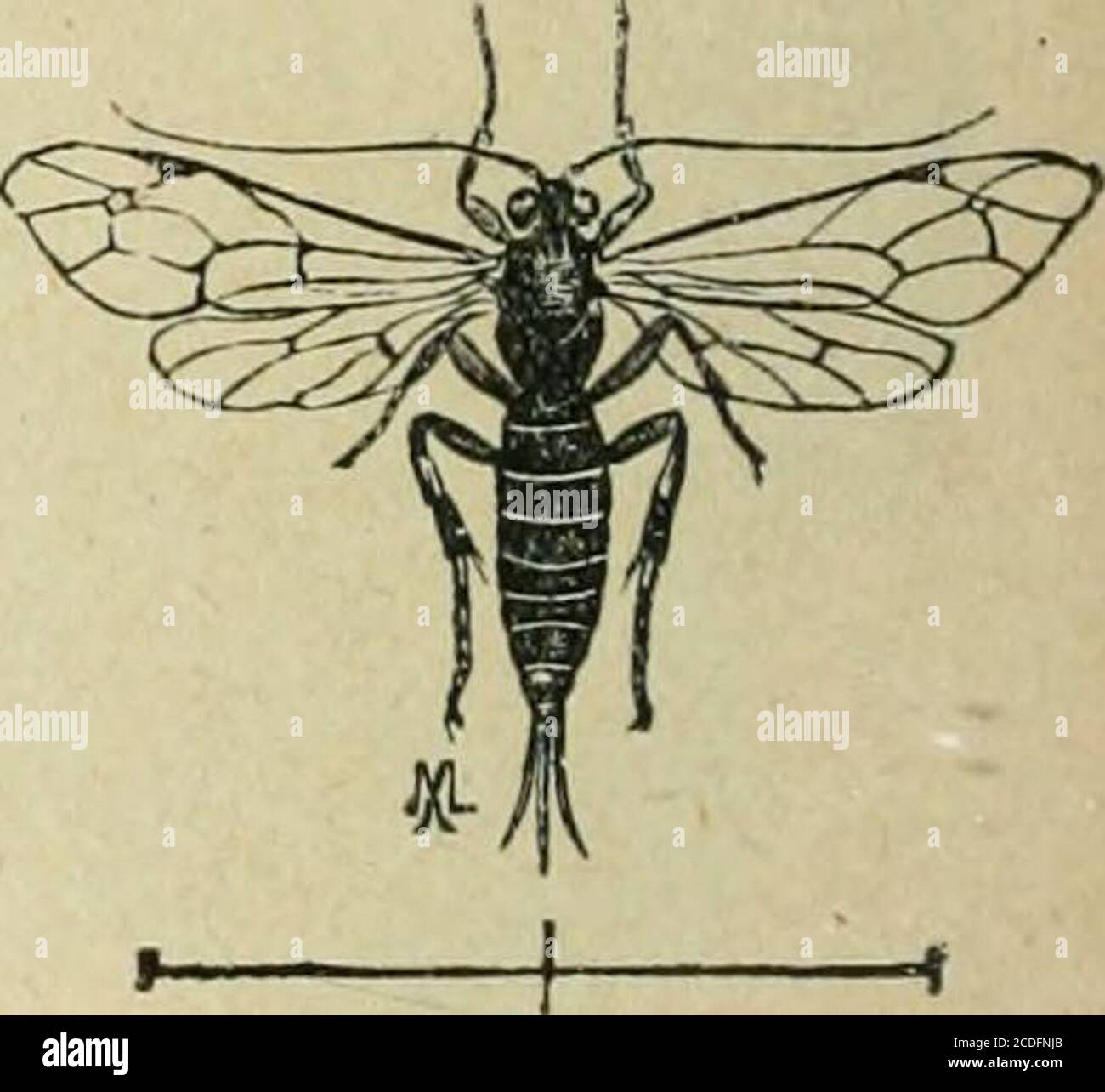 Home Accessories, image size:1300x1284