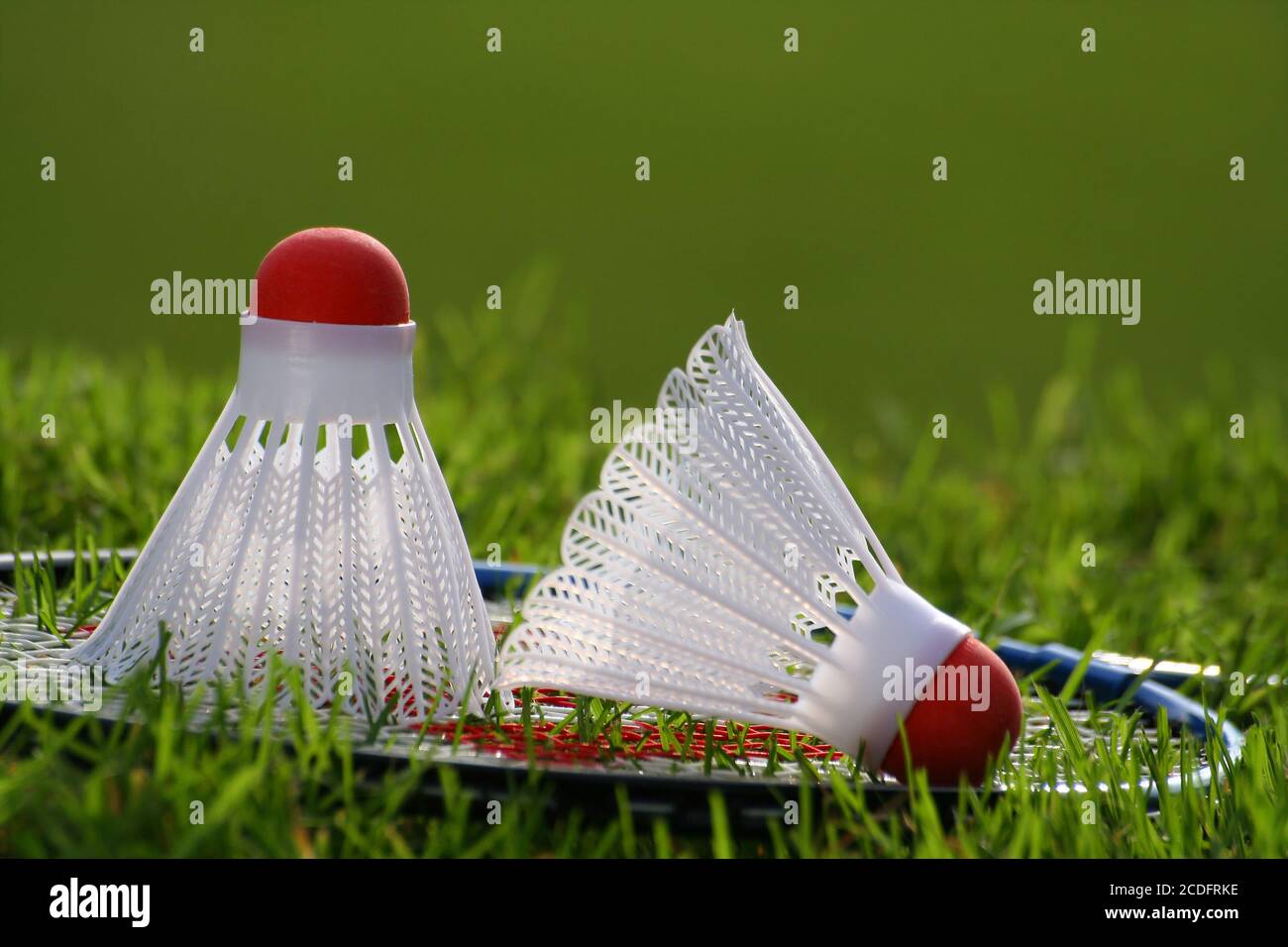 Badminton set on grass Stock Photo Alamy