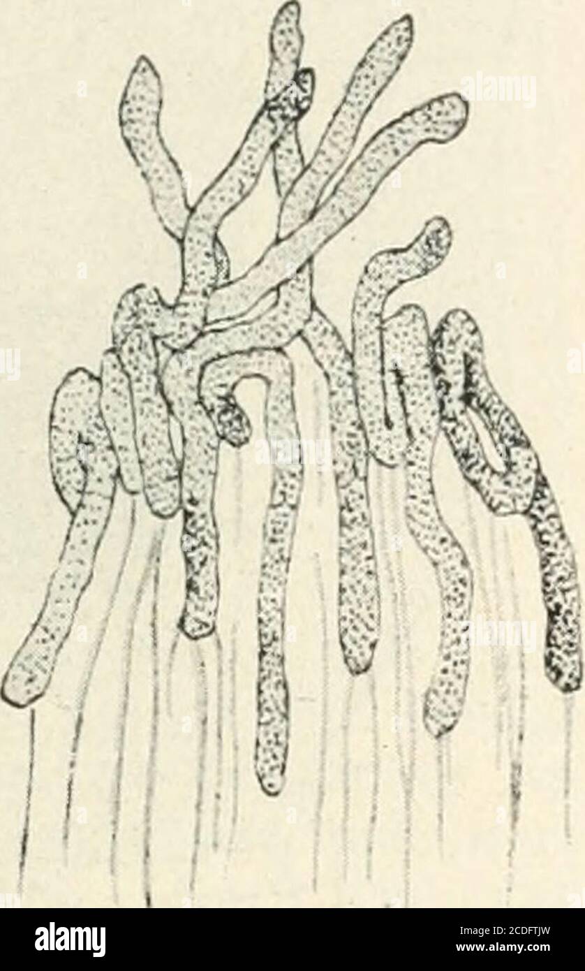 Trennung 7 High Resolution Stock Photography And Images Alamy